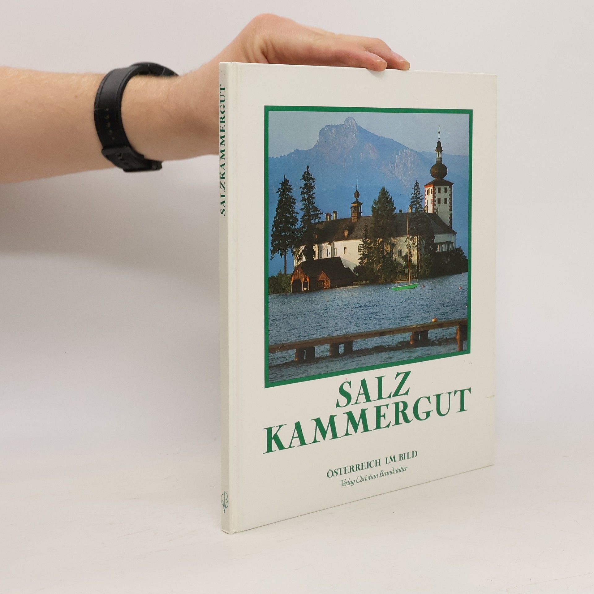Günter Treffer Salzkammergut