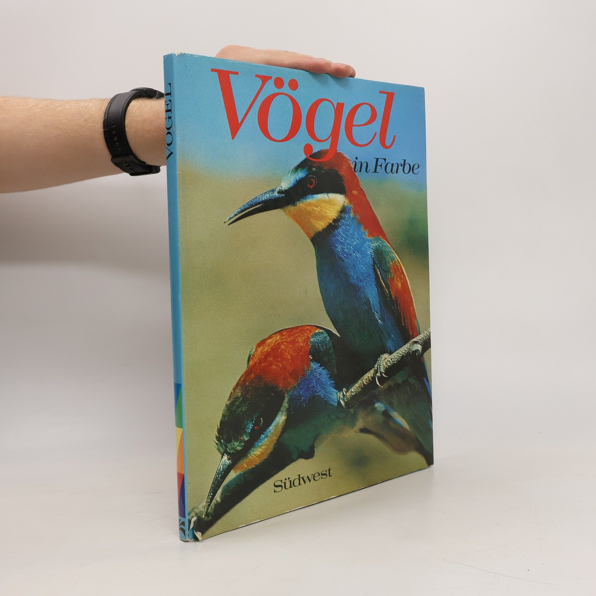 kolektiv Vögel in Farbe