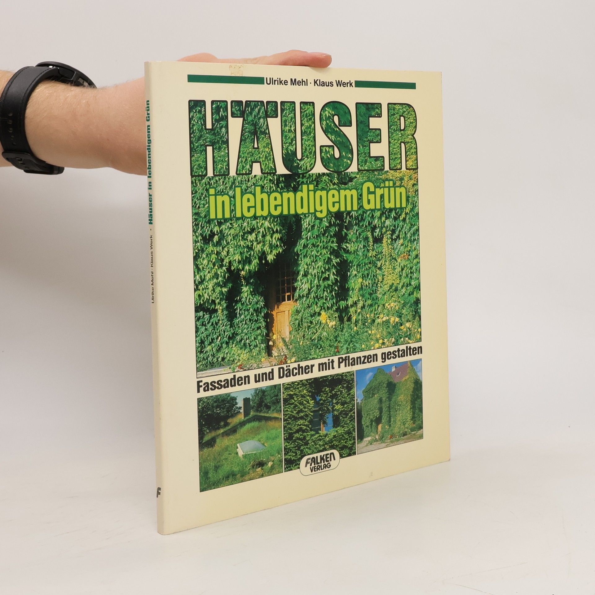 Ulrike Mehl Häuser in lebendigem Grün