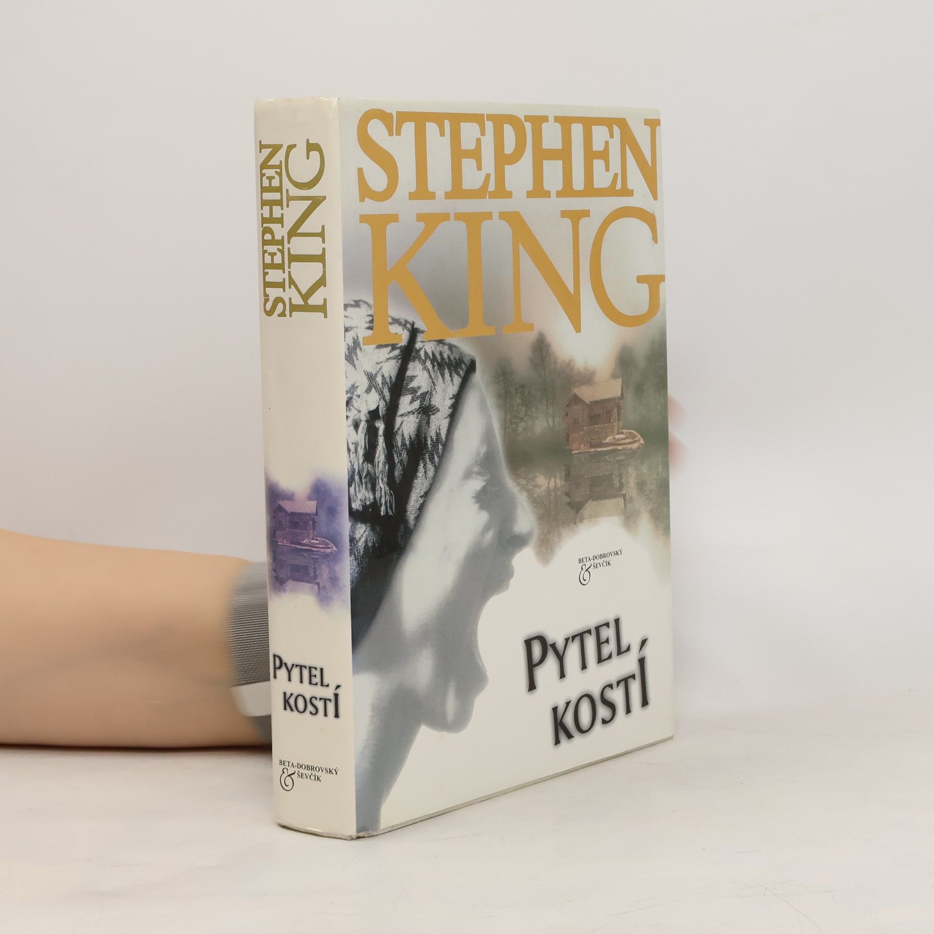 Stephen King Pytel kostí