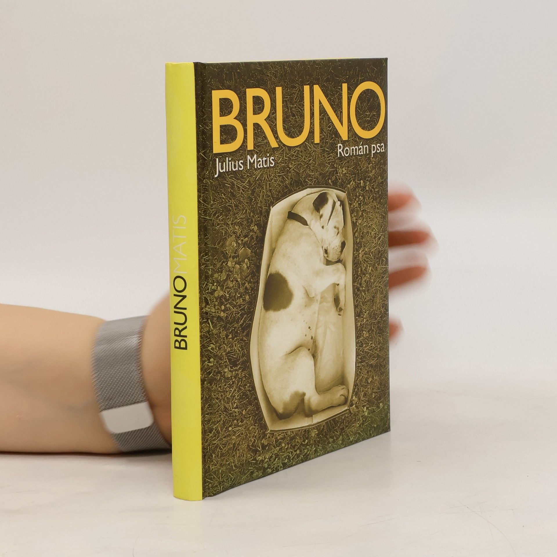 Julius Matis Bruno