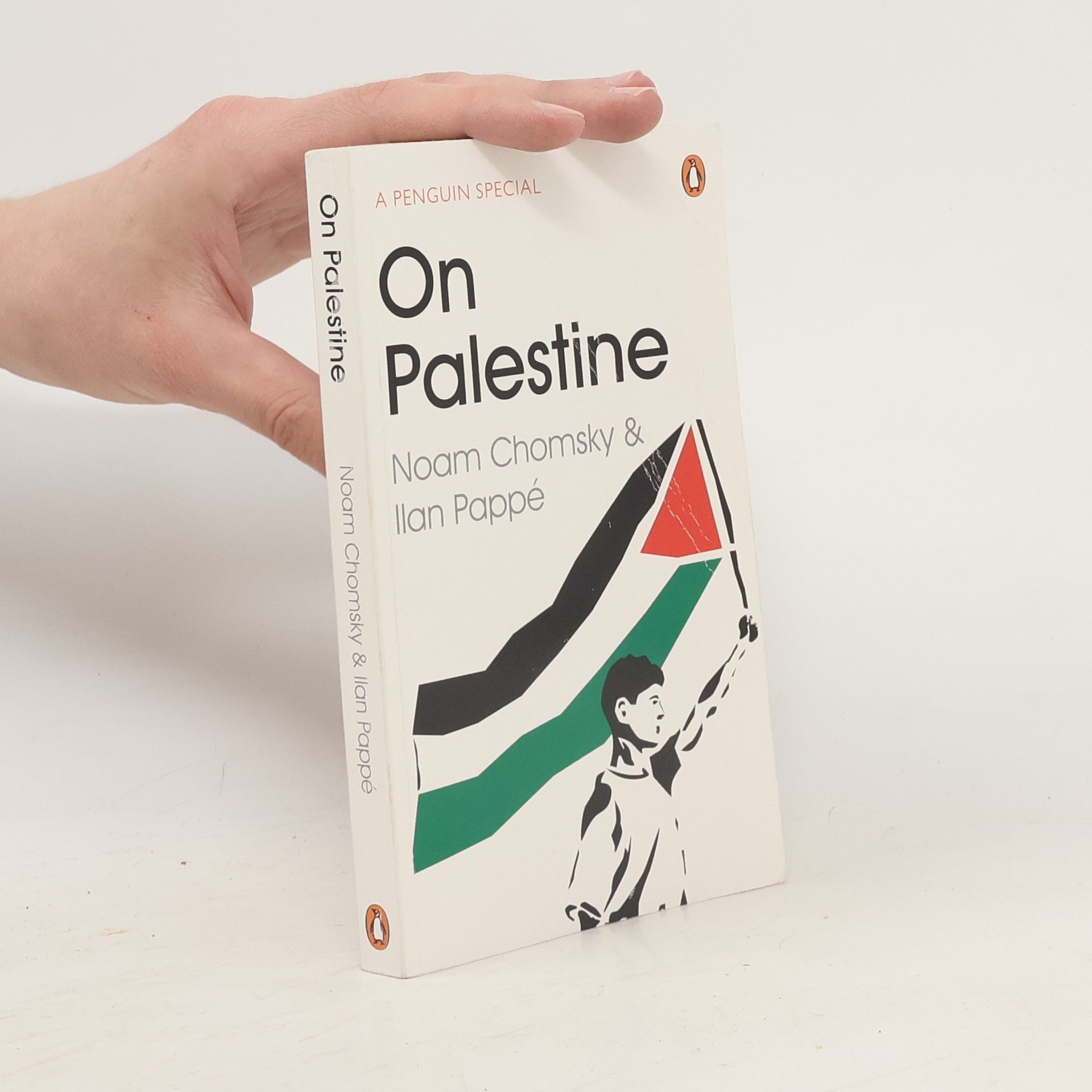 Noam Chomsky On Palestine