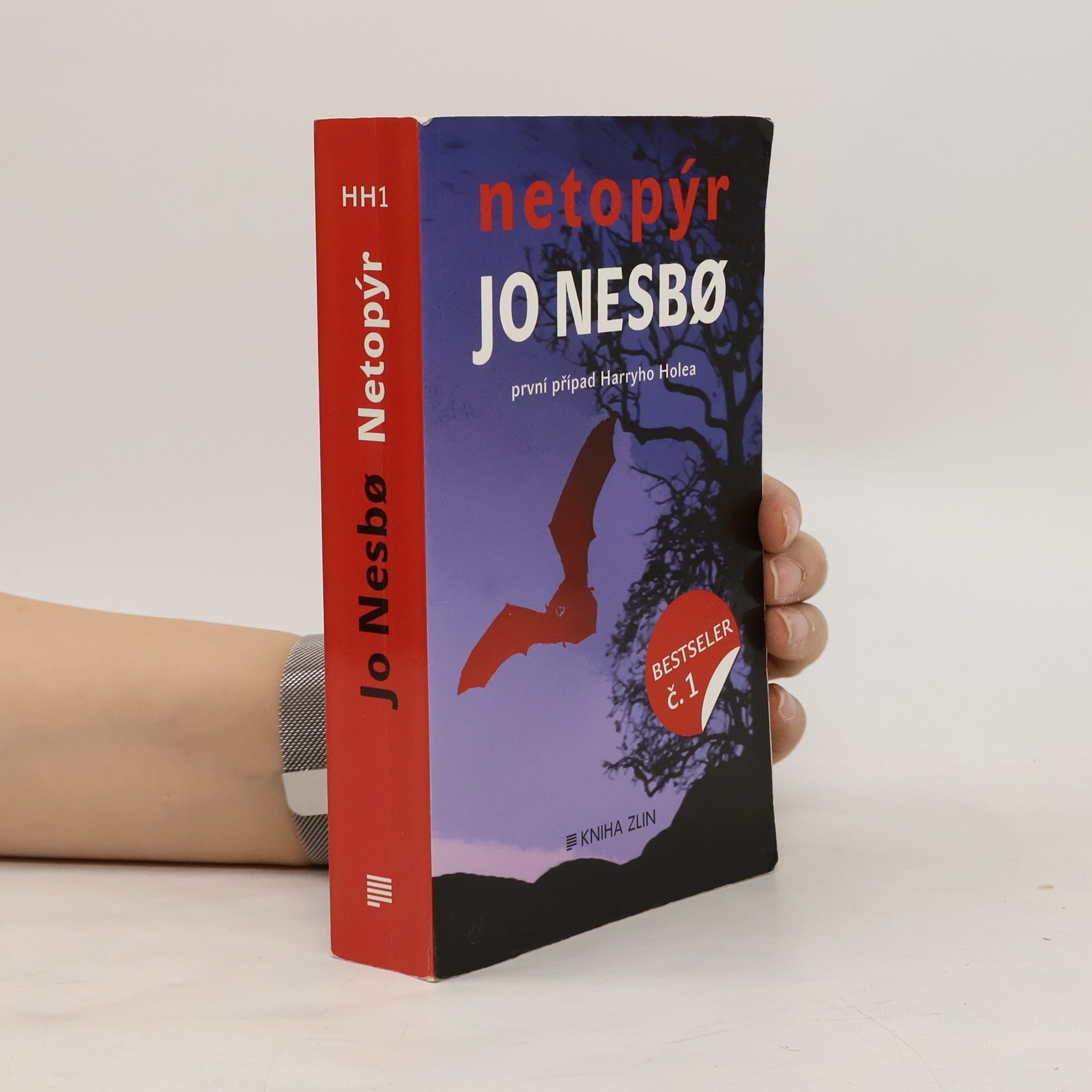 Jo Nesbø Netopýr. První případ Harryho Holea