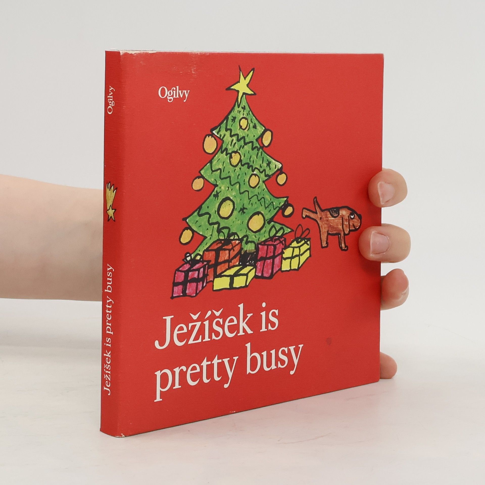 Kolektiv autorů Ježíšek is Pretty Busy