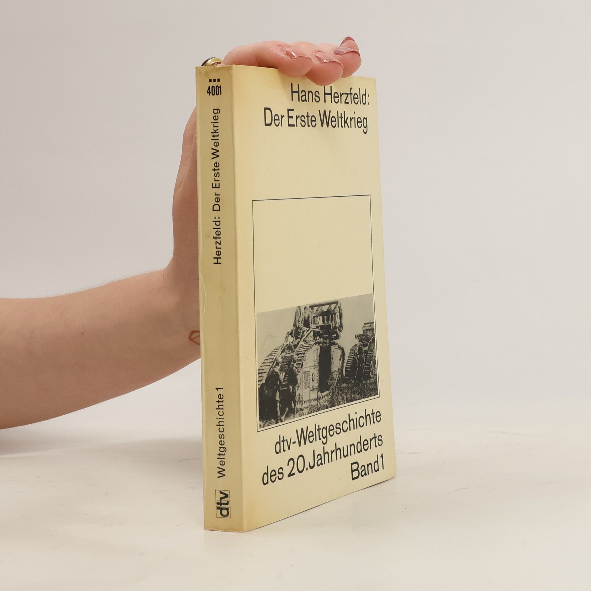 Hans Herzfeld Der Erste Weltkrieg 1
