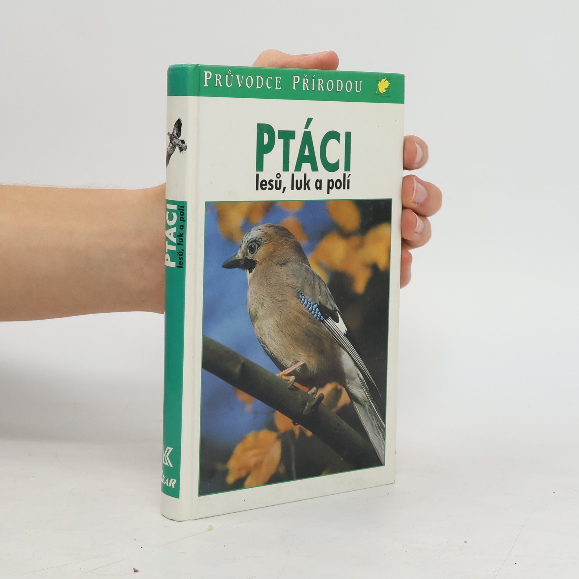 Friedhelm Sauer Ptáci lesů, luk a polí