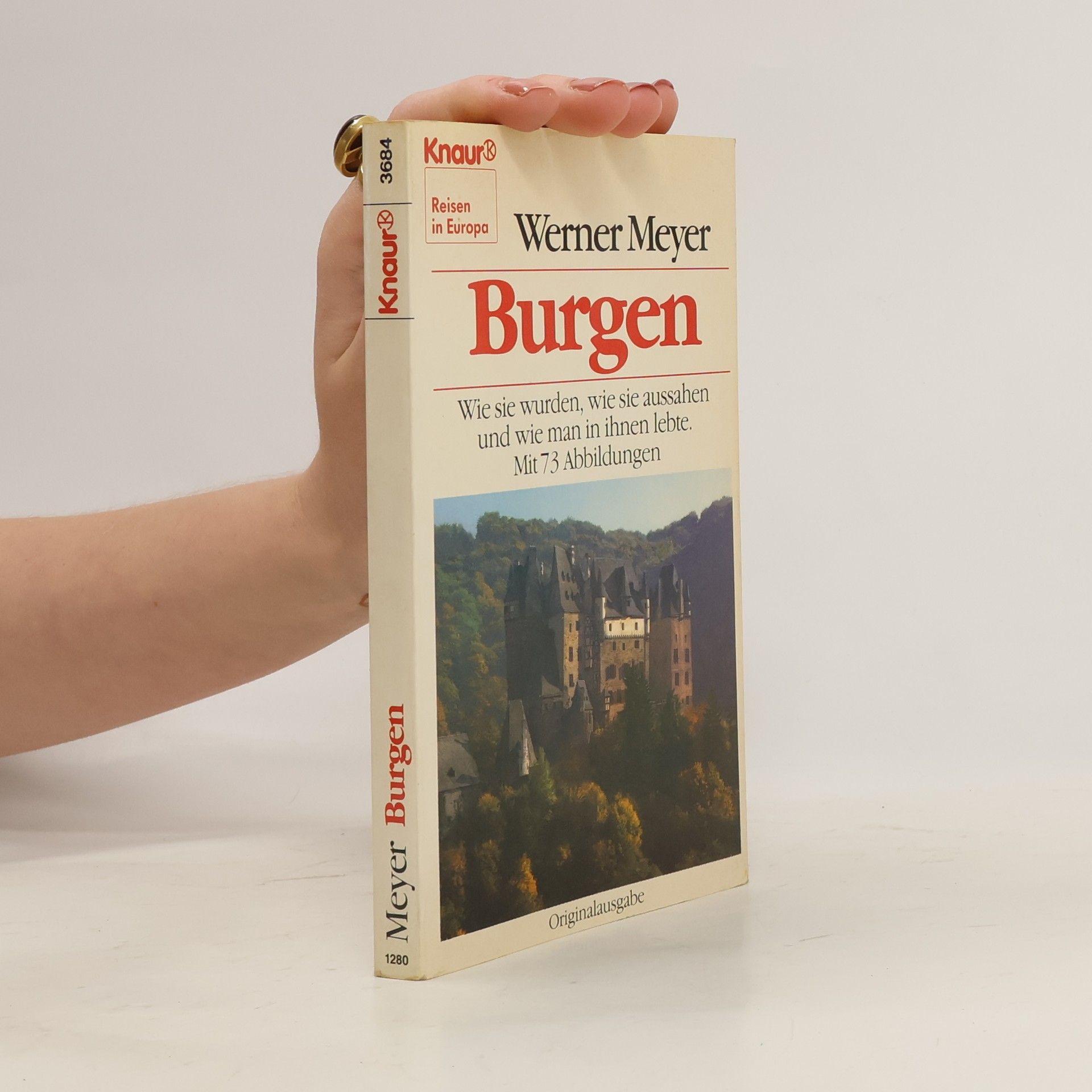 Werner Meyer-Larsen Burgen