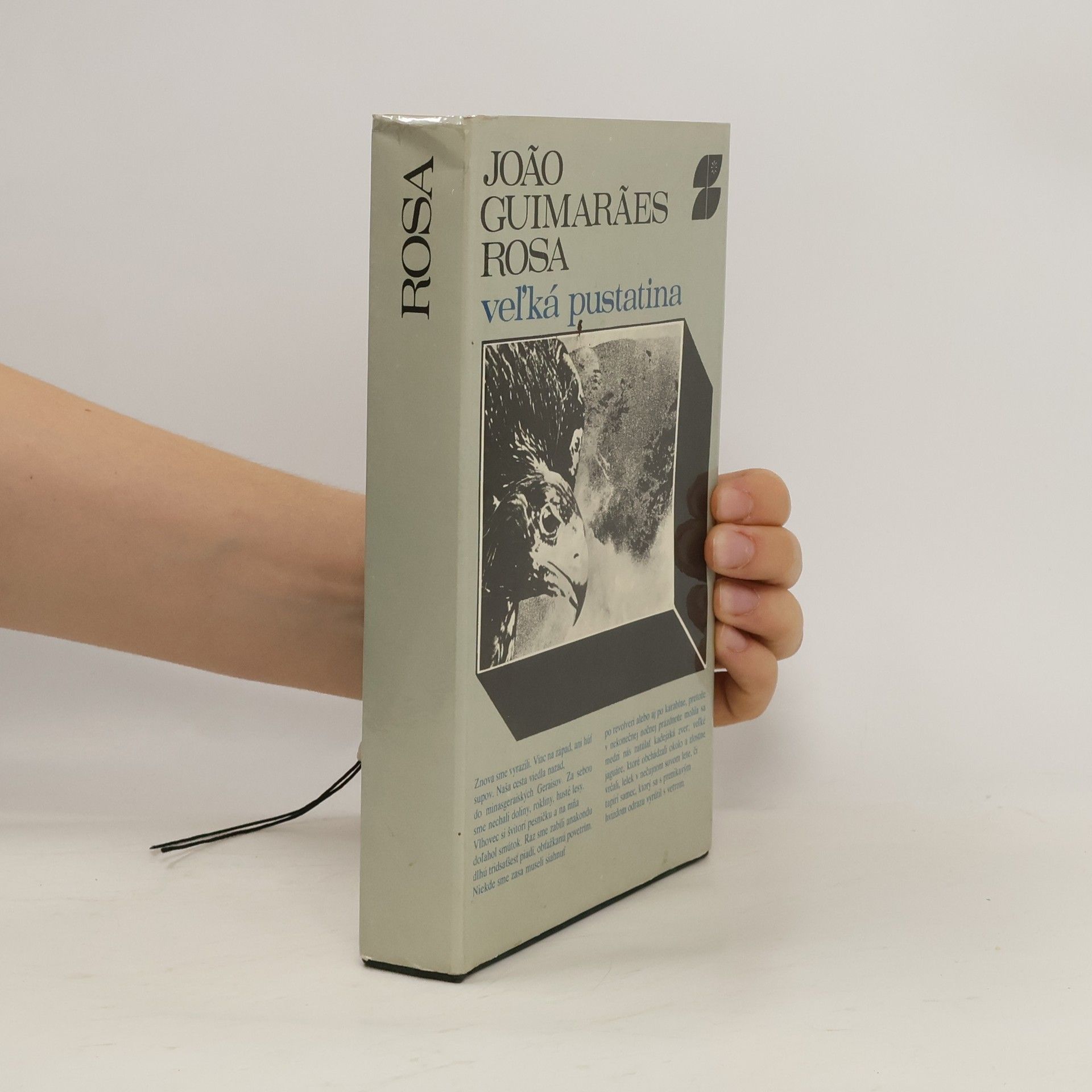 João Guimarães Rosa Veľká pustatina