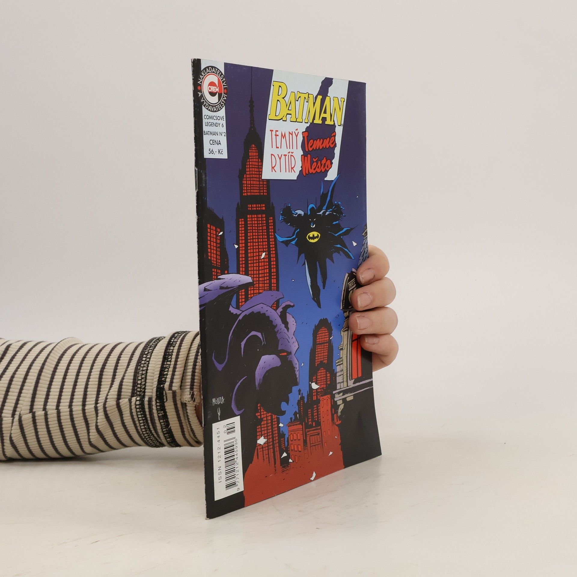 kolektiv Batman. Temný rytíř. Temné město