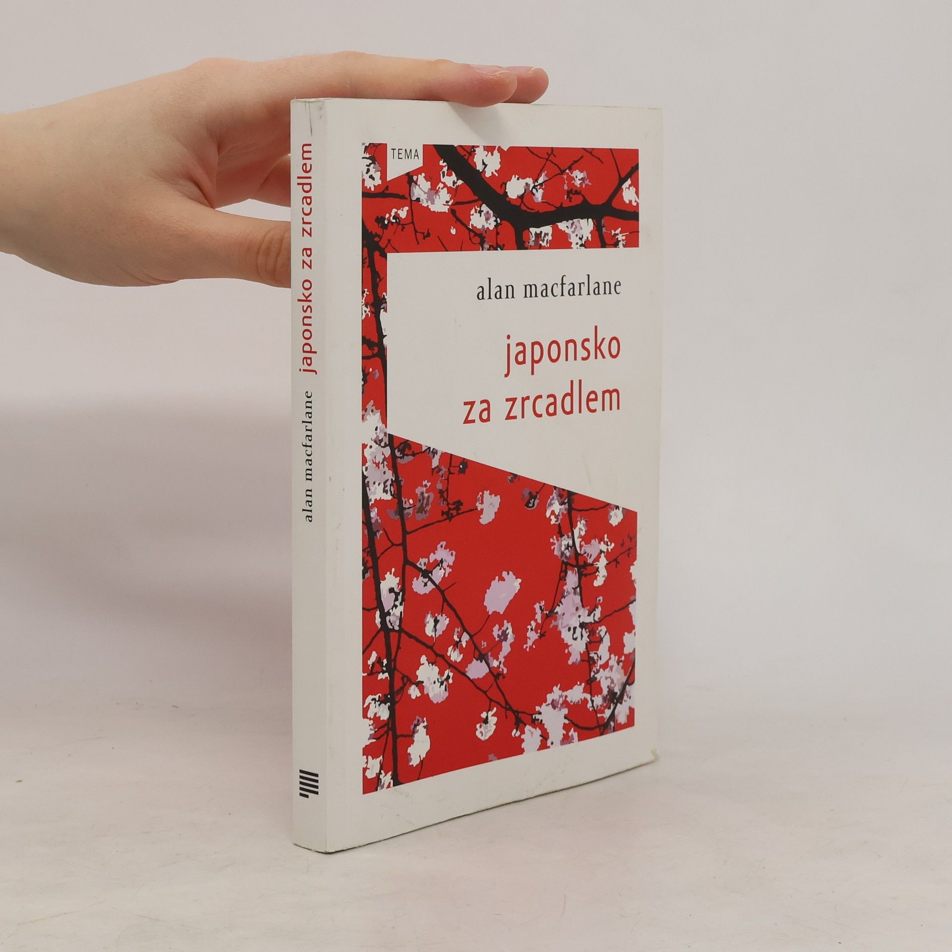Alan Macfarlane Japonsko za zrcadlem