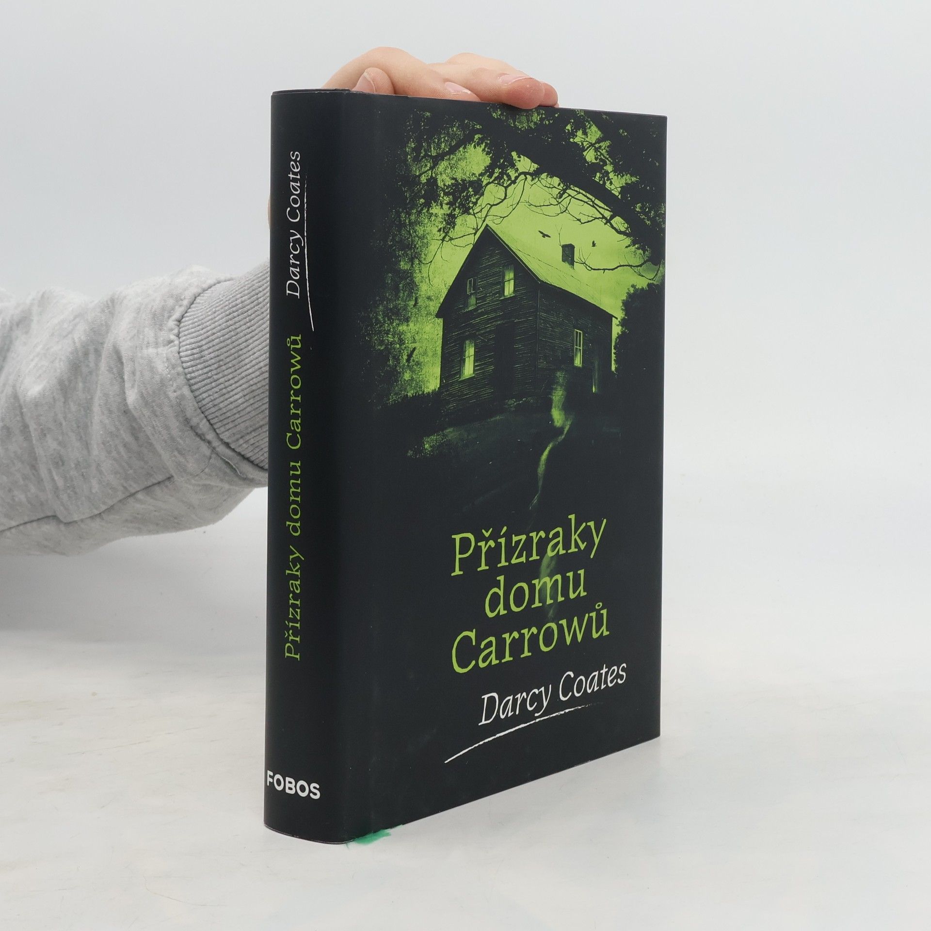 Darcy Coates Přízraky domu Carrowů