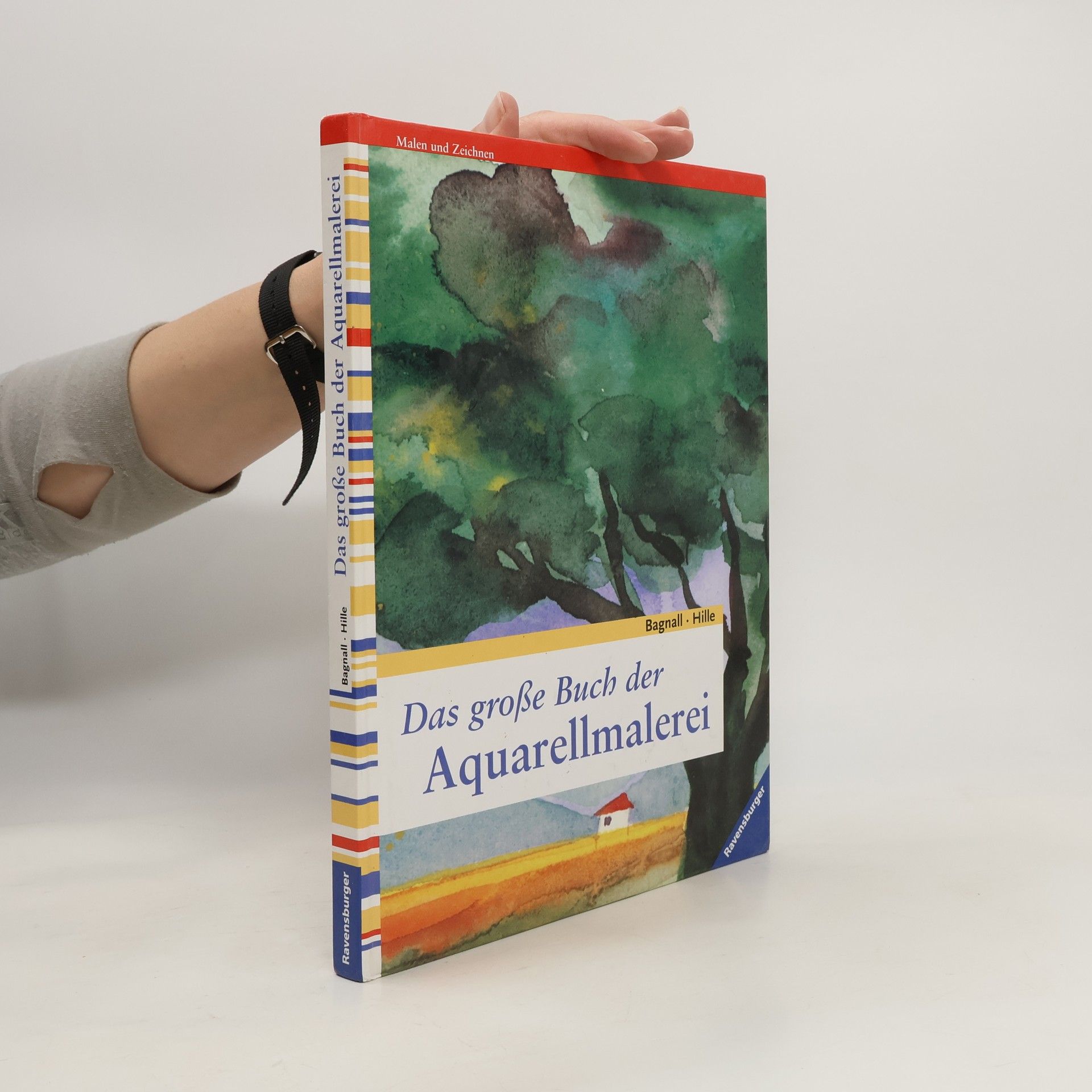 Brian Bagnall Das große Buch der Aquarellmalerei