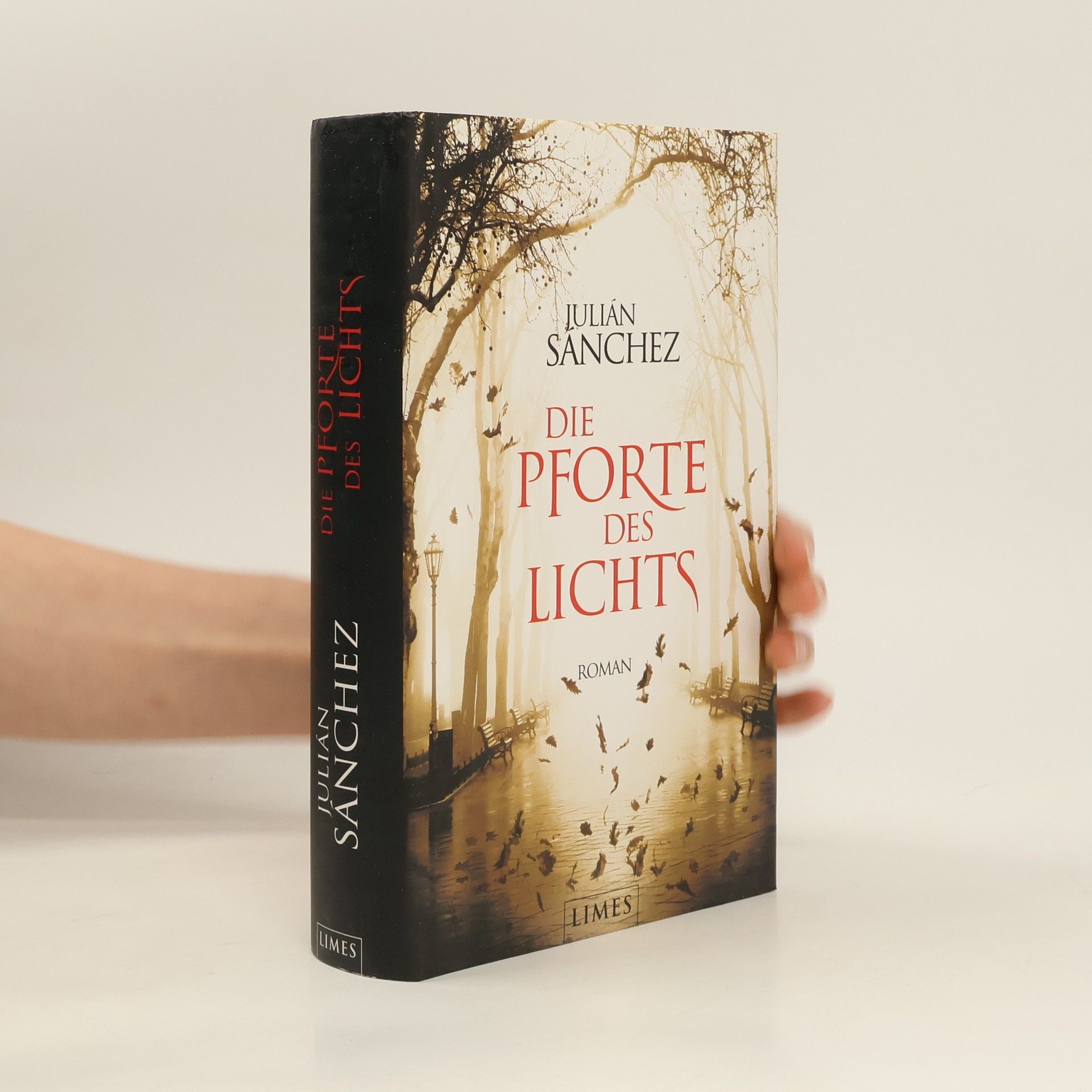 Julian Sanchez Die Pforte des Lichts