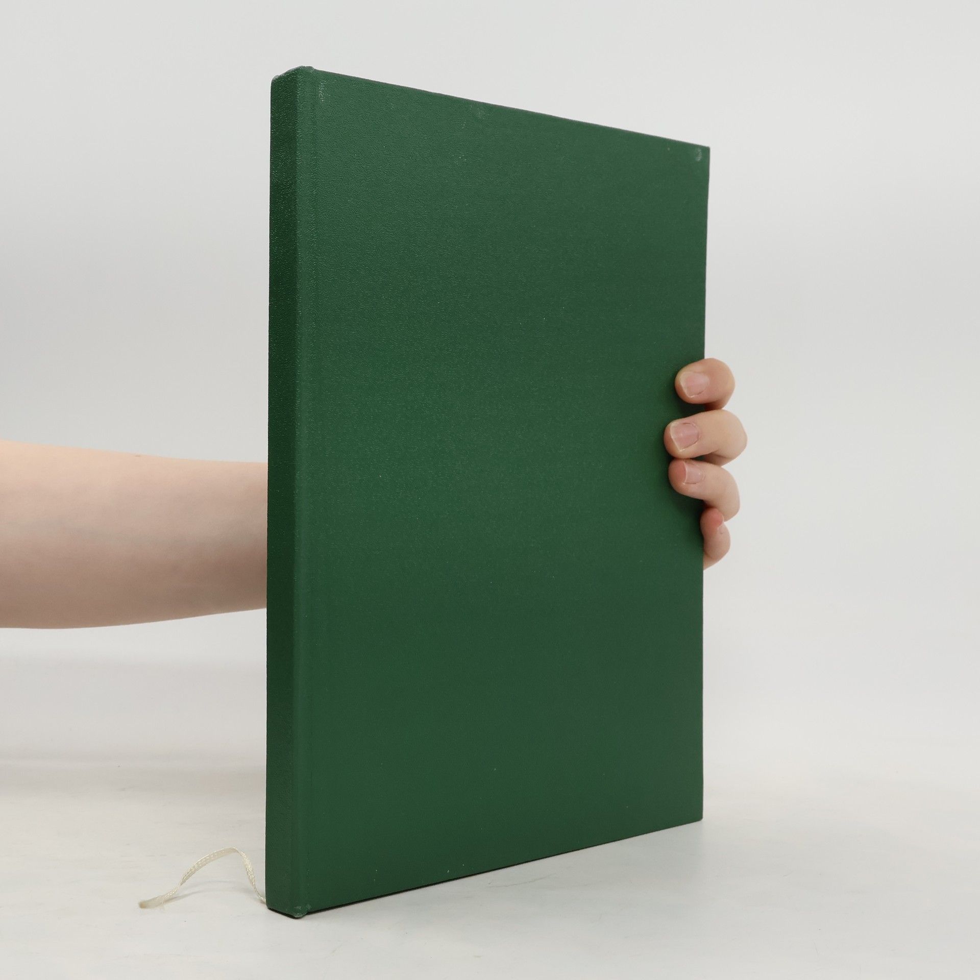 Auteurscollectief Město stříbra a slávy starých hornických tradic