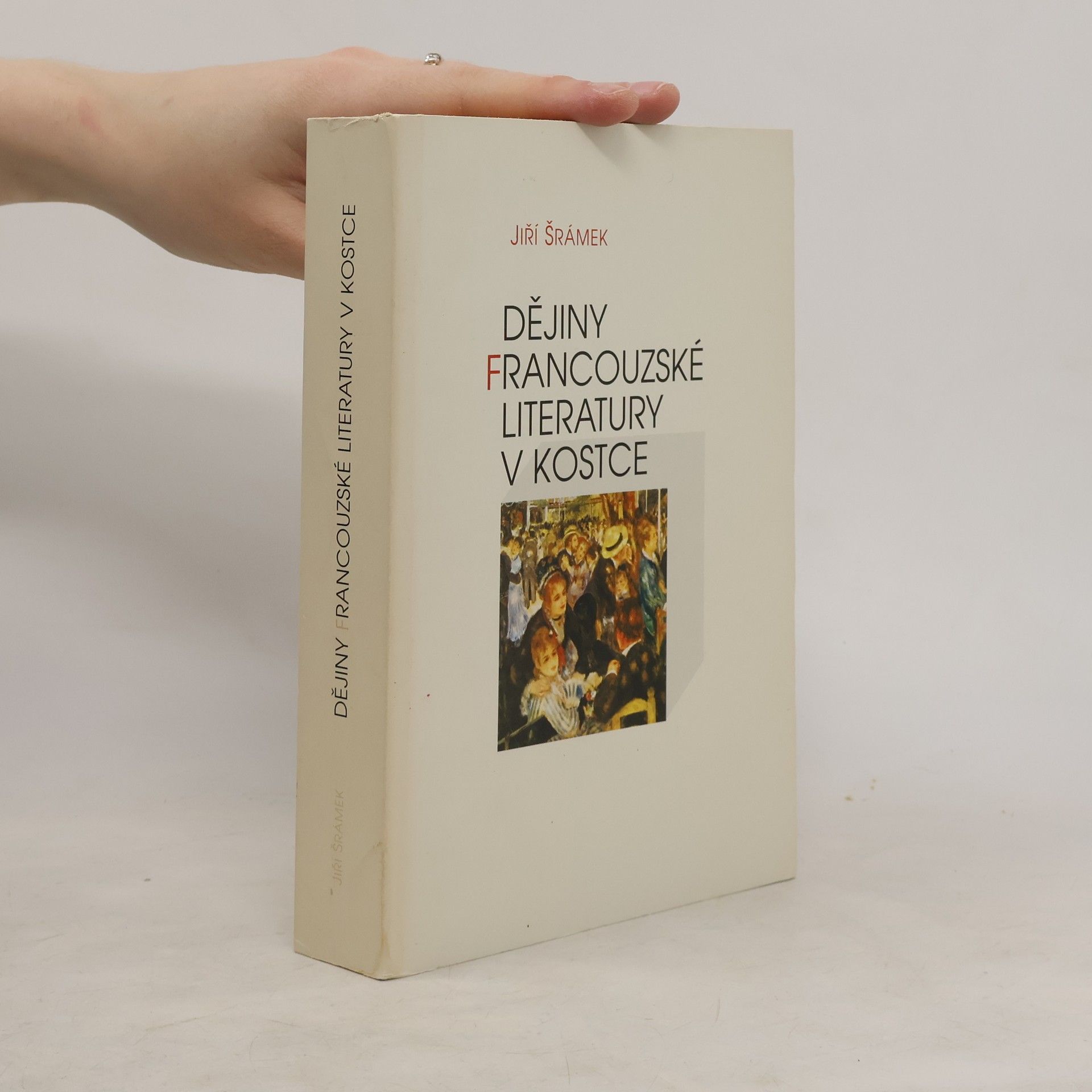 Jiří Šrámek Dějiny francouzské literatury v kostce