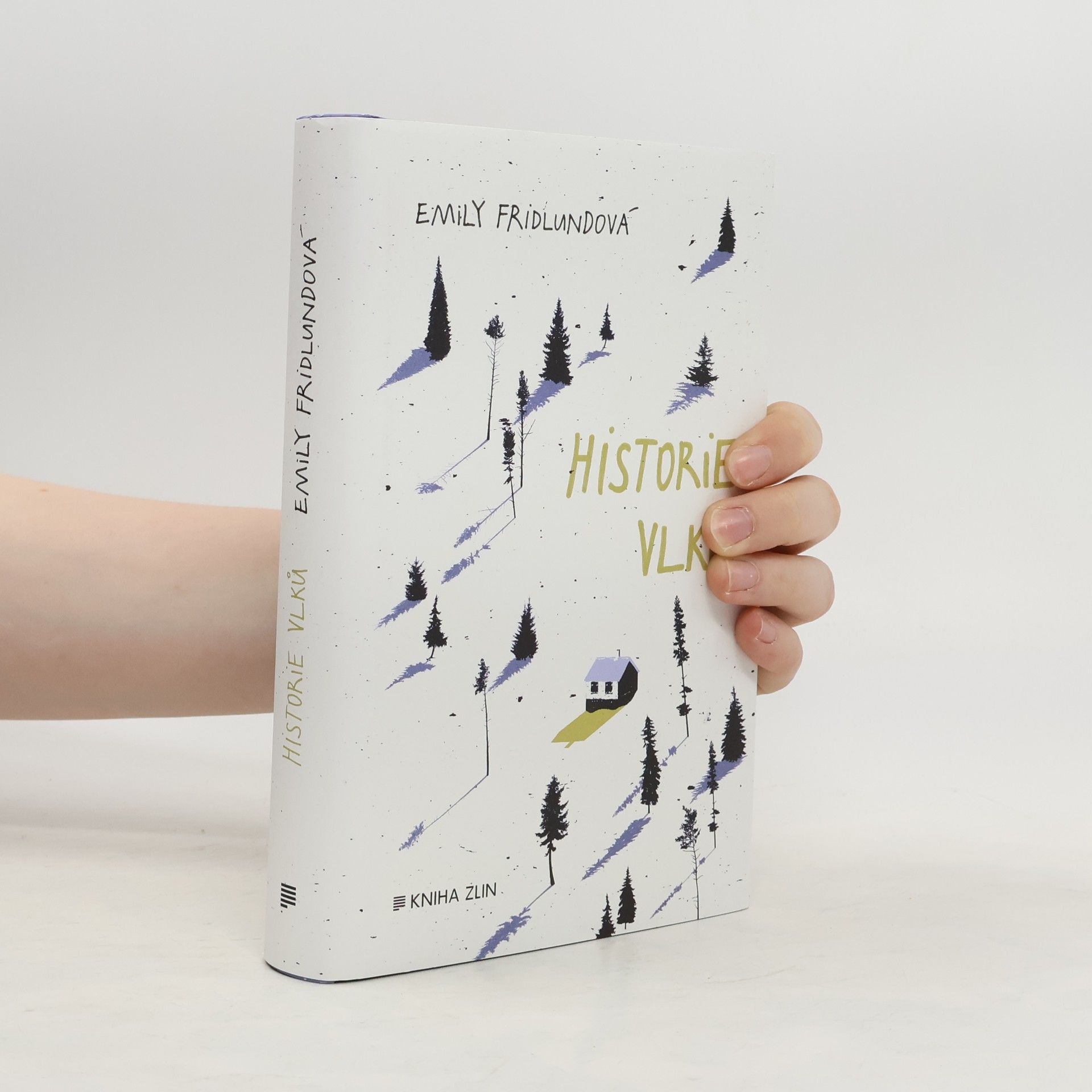 Emily Fridlund Historie vlků