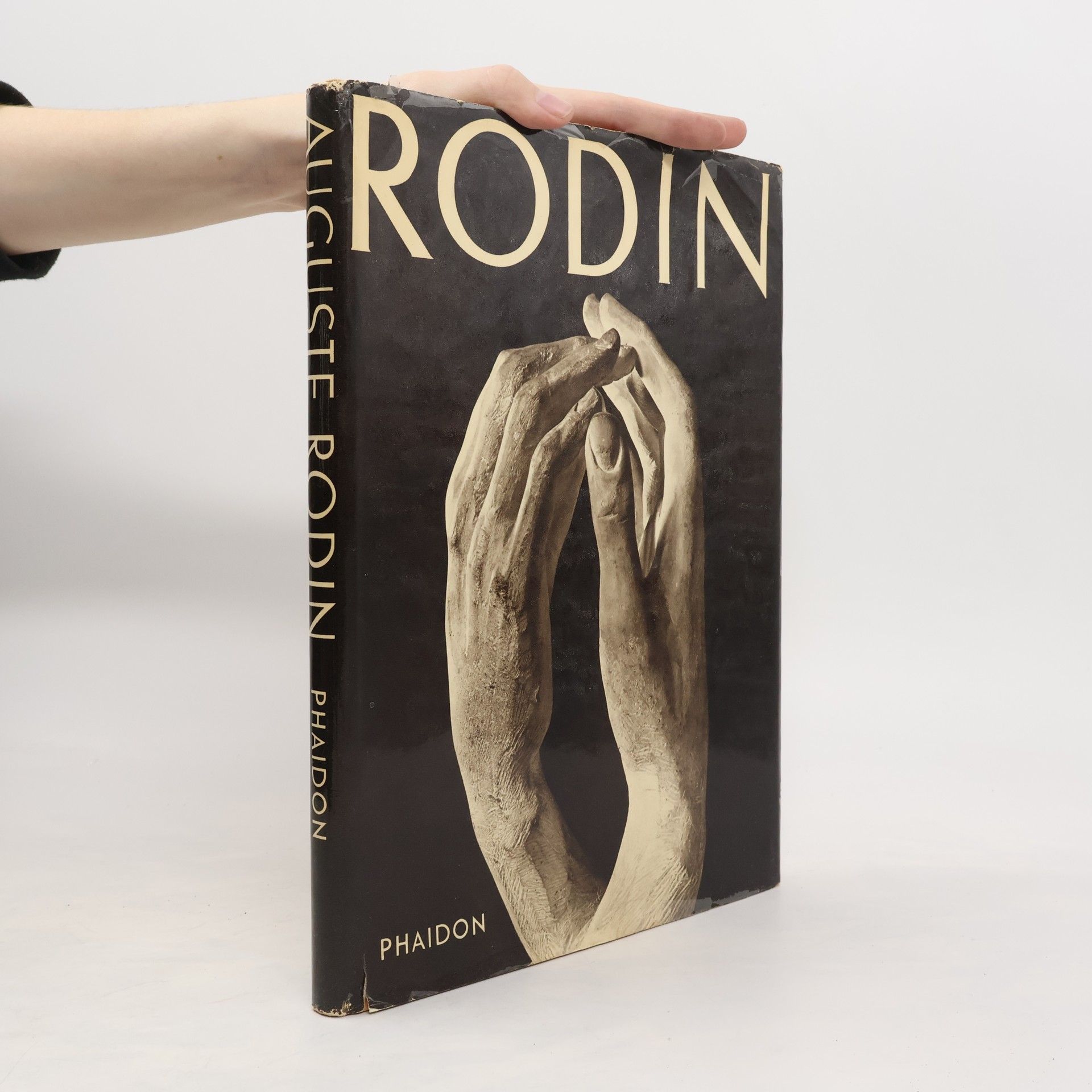 Auguste Rodin Rodin