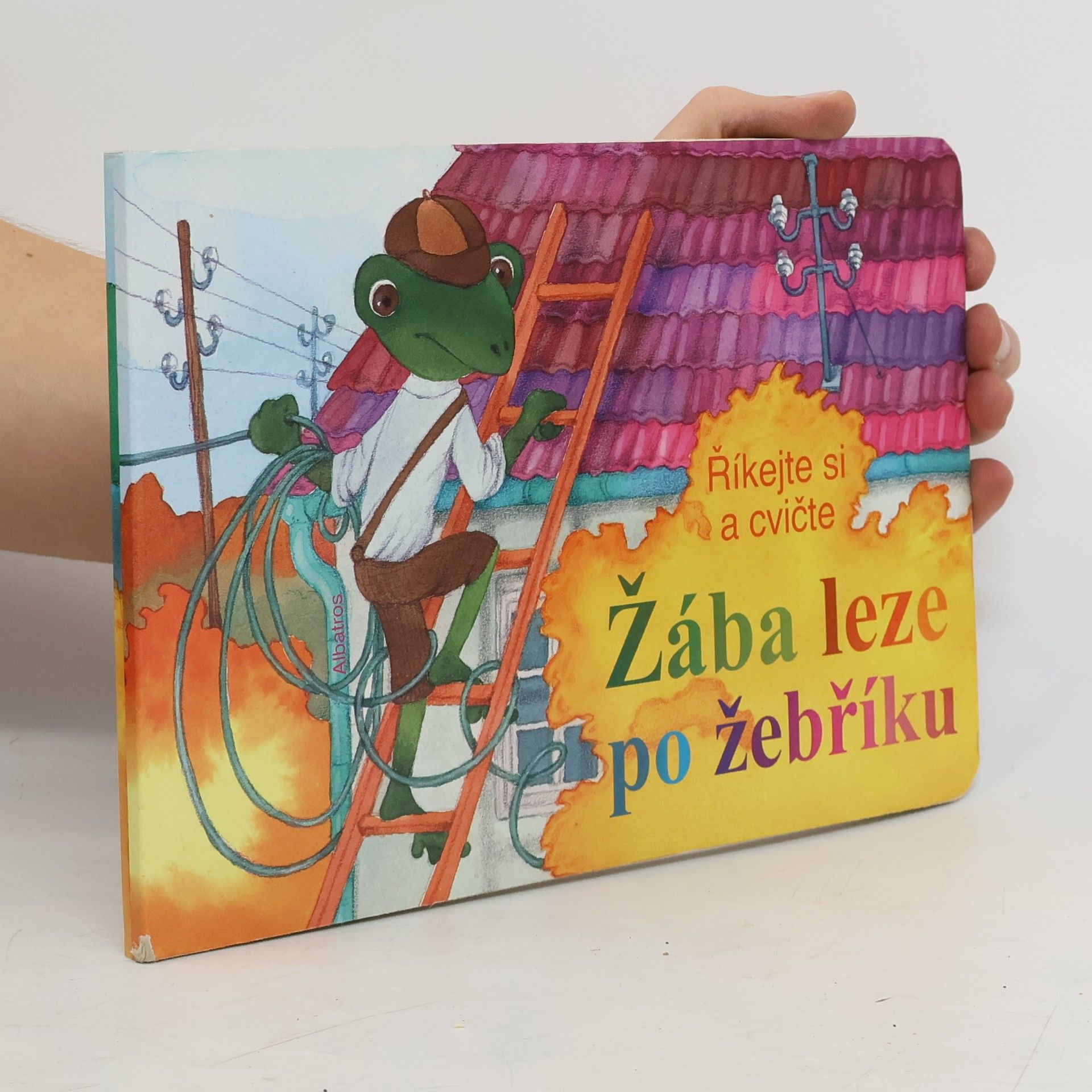 kolektiv Žába leze po žebříku