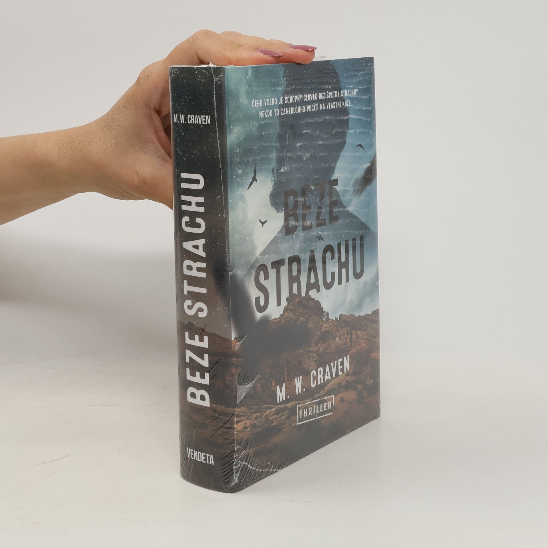 M.W. Craven Beze strachu
