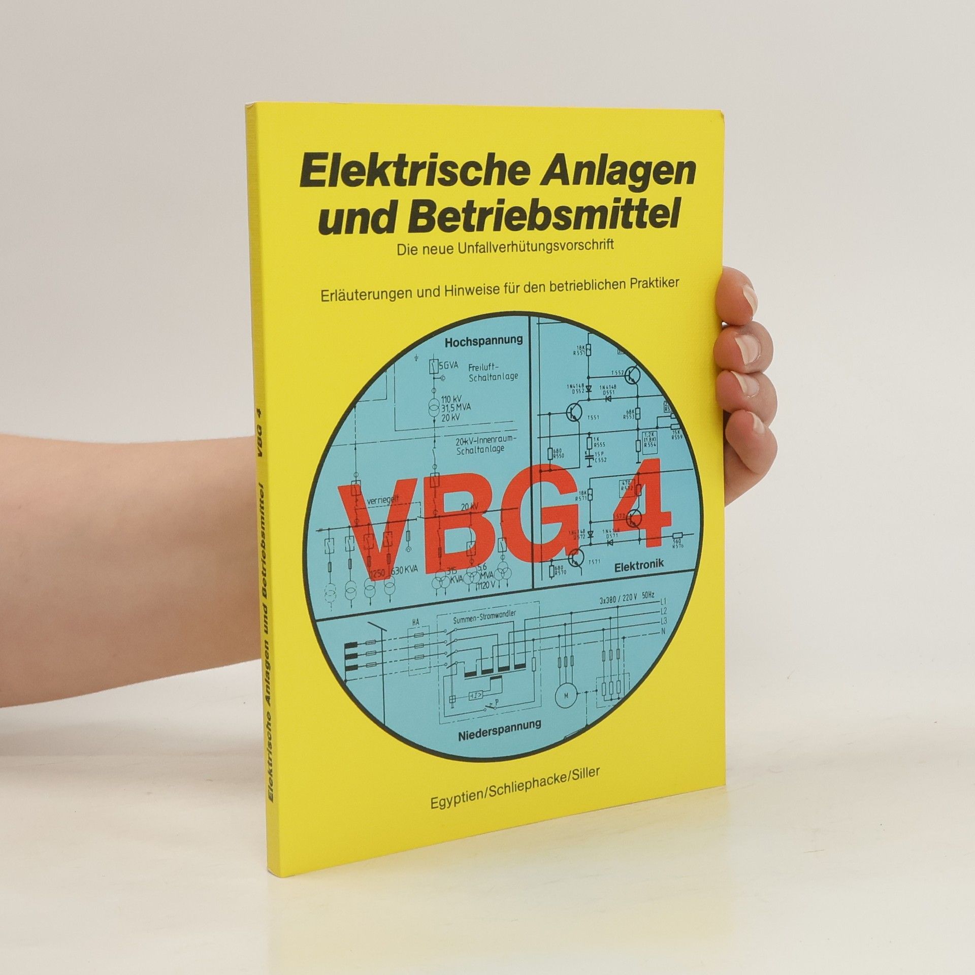 Hans Heinrich Egyptien Elektrische Anlagen und Betriebsmittel VBG 4