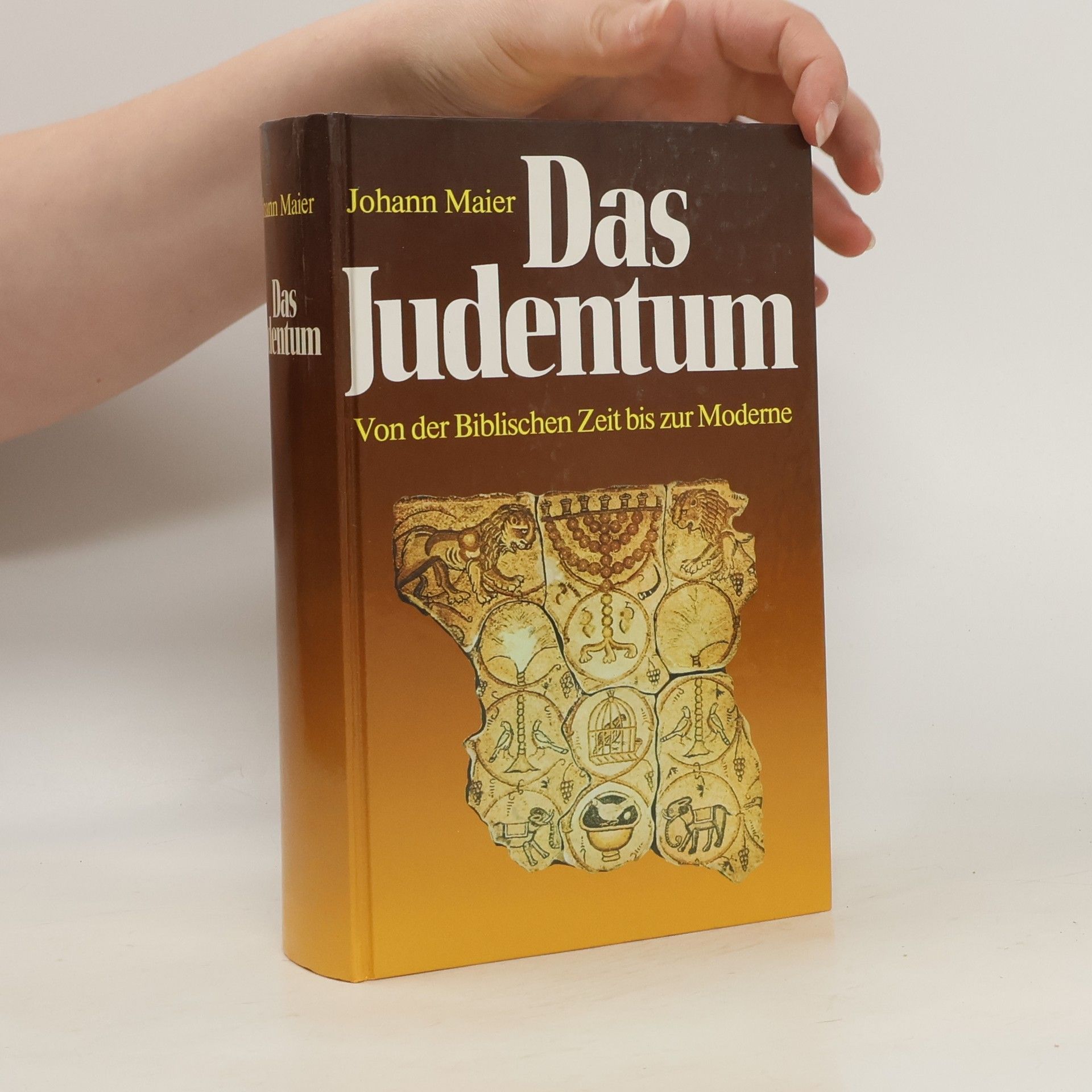 Johann Maier Das Judentum