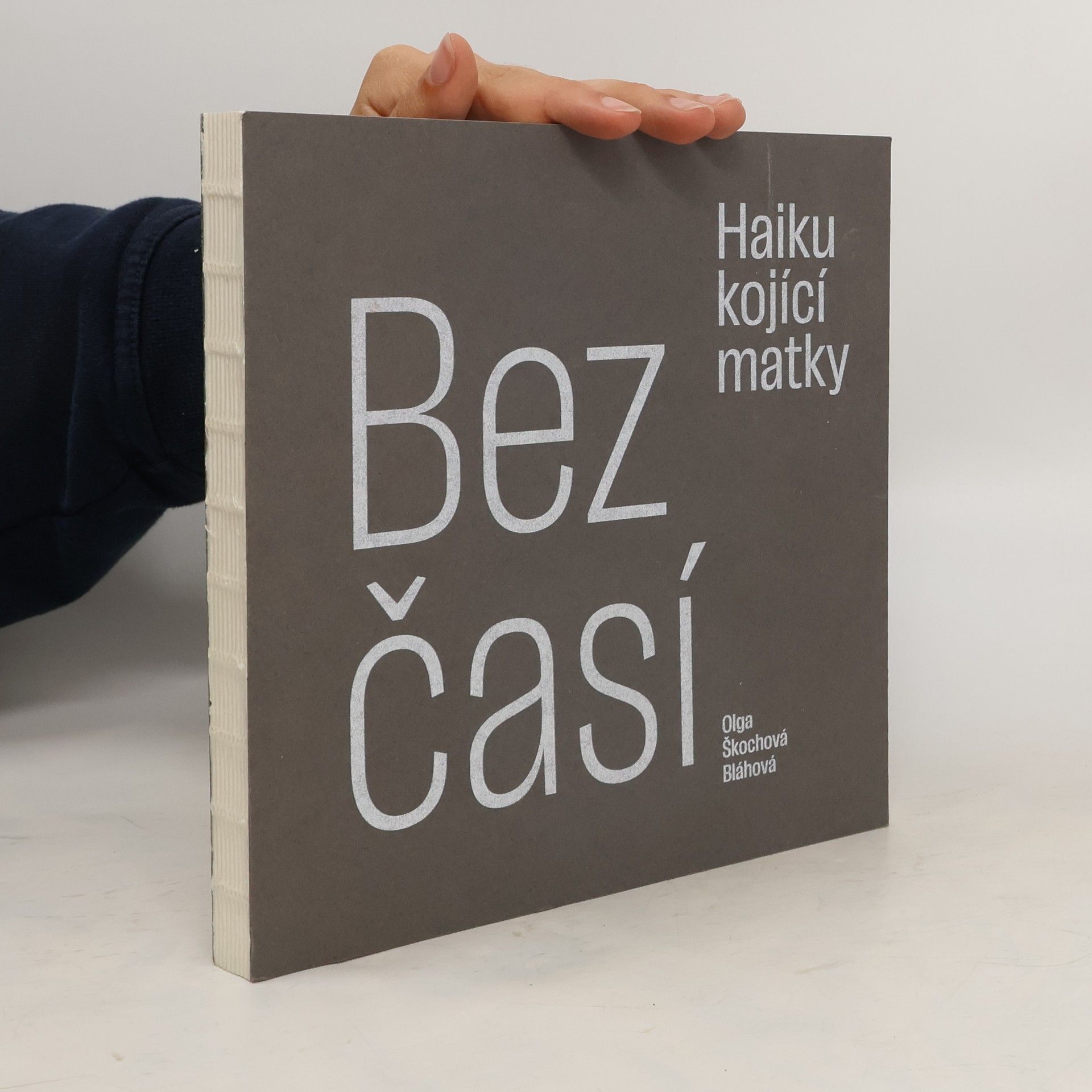Olga Škochová Bláhová Bezčasí - Haiku kojící matky