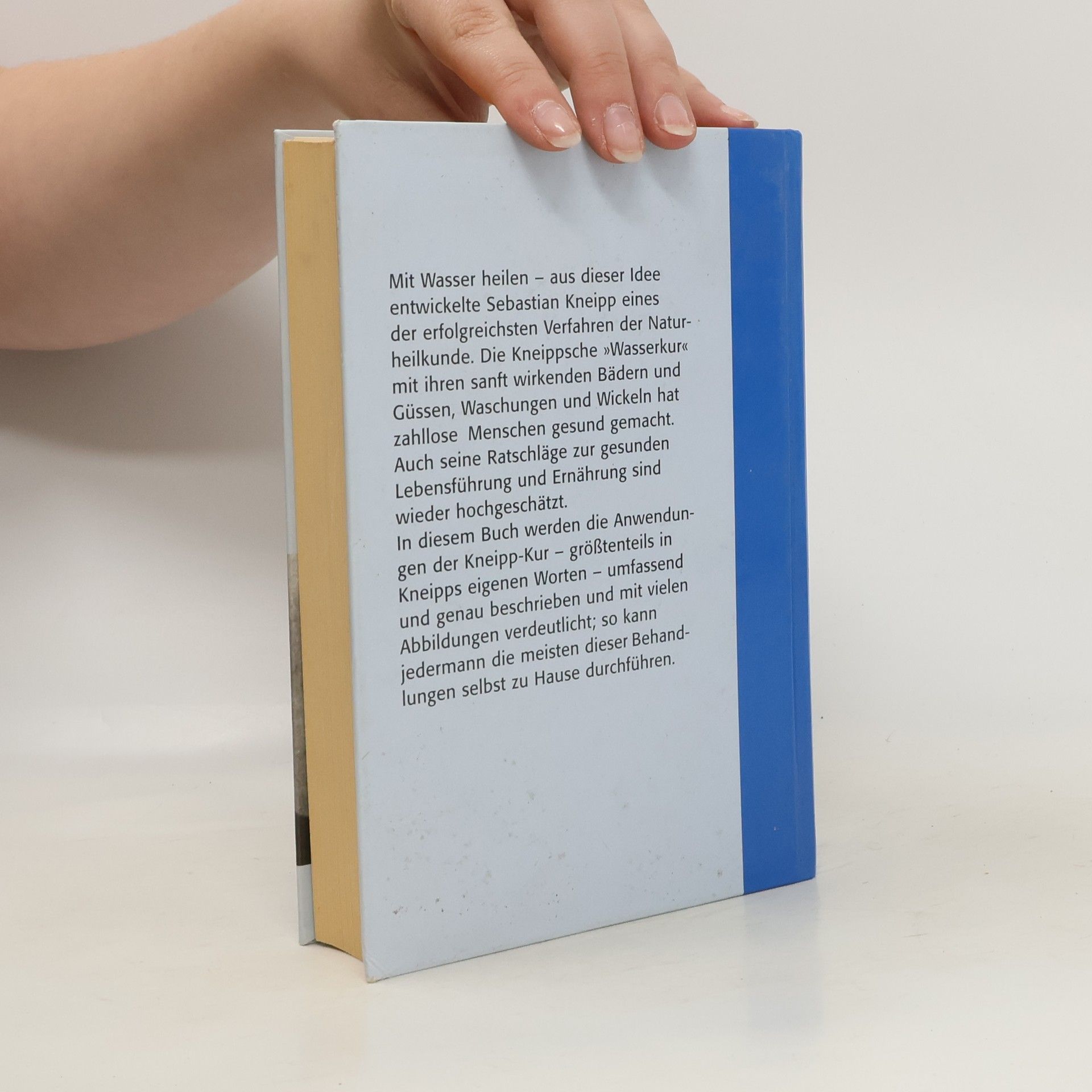 Julia Voglgsang Das große Kneipp-Kurbuch