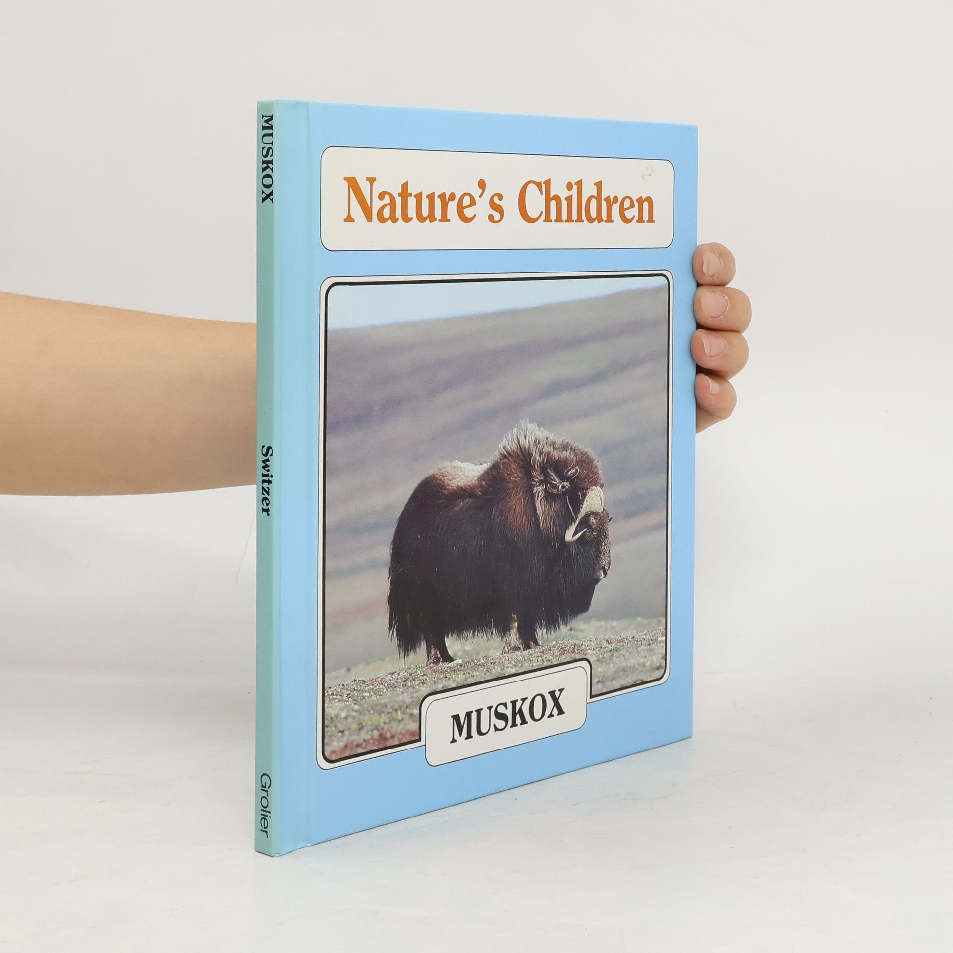 Merebeth Switzer Muskox