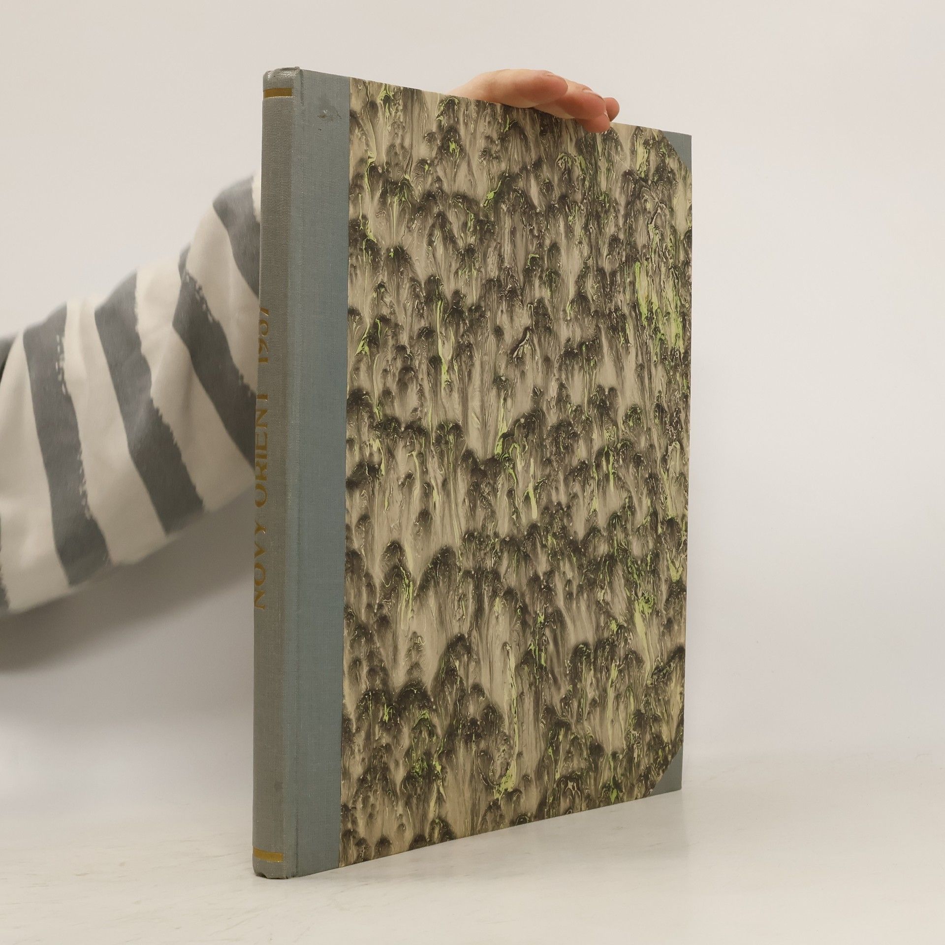 Kolektív autorov Nový Orient