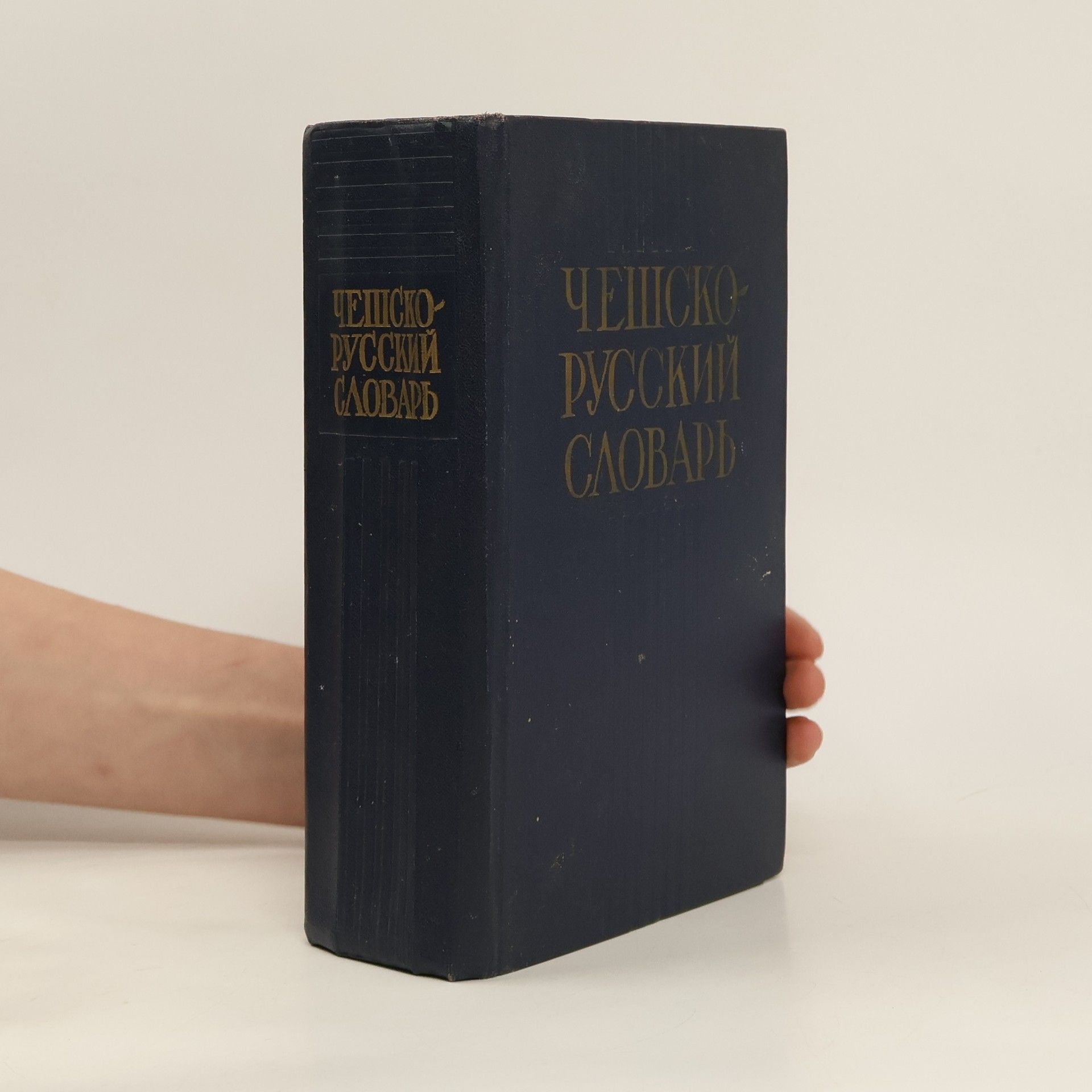 Autorenkollektiv Чешско-Русский Словарь