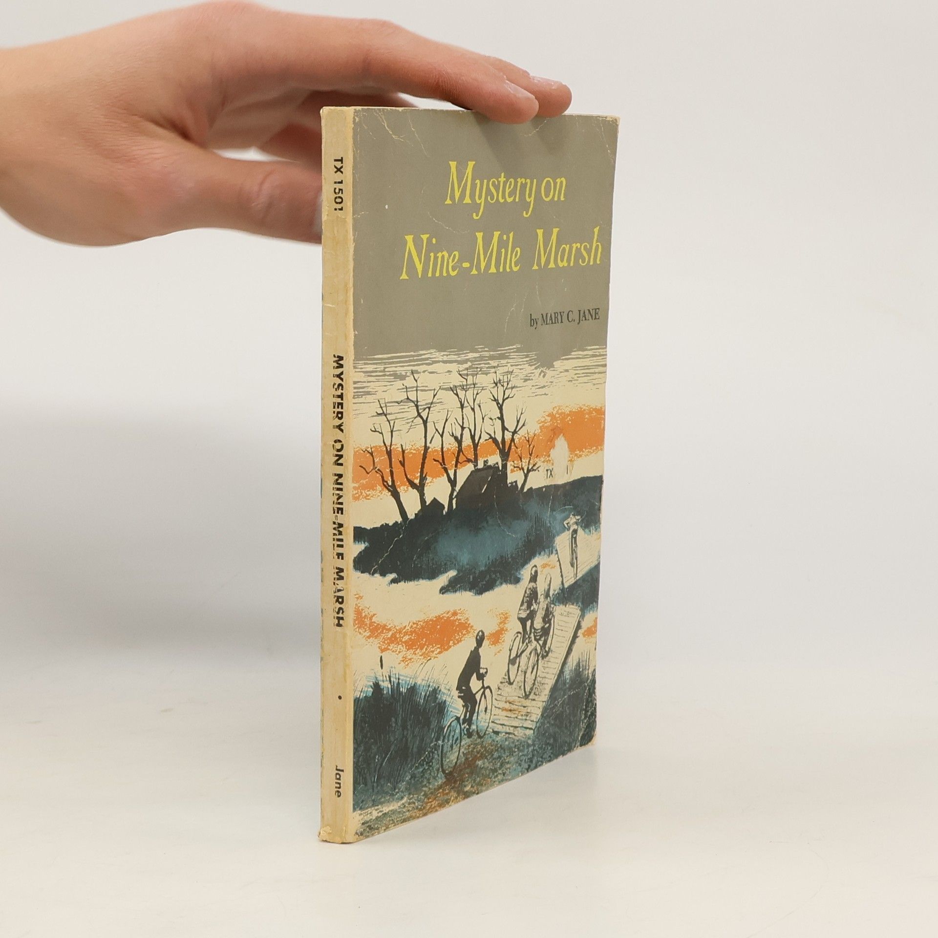 Mary C. Jane Mystery on Nine-Mile Marsh