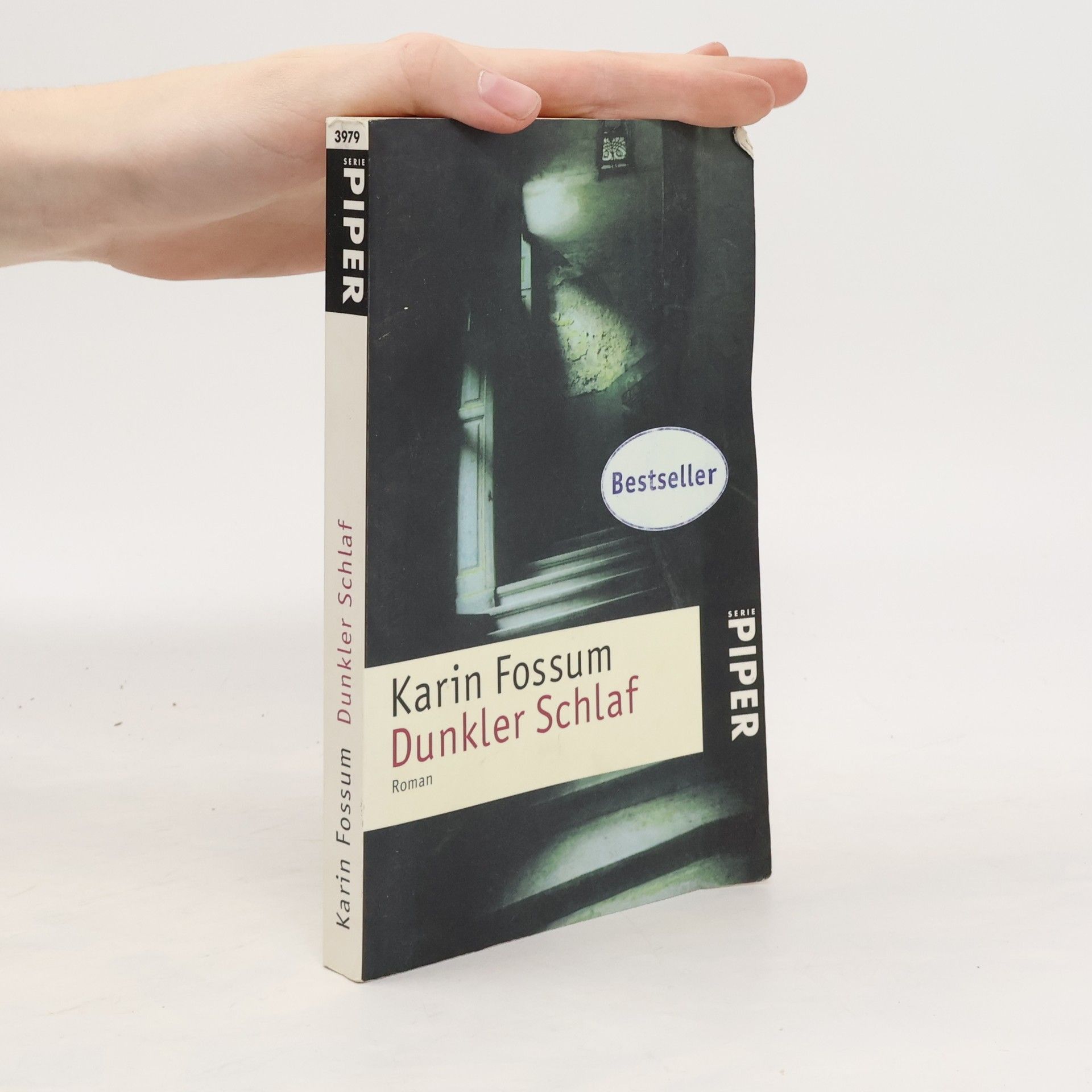 Karin Fossum Dunkler Schlaf