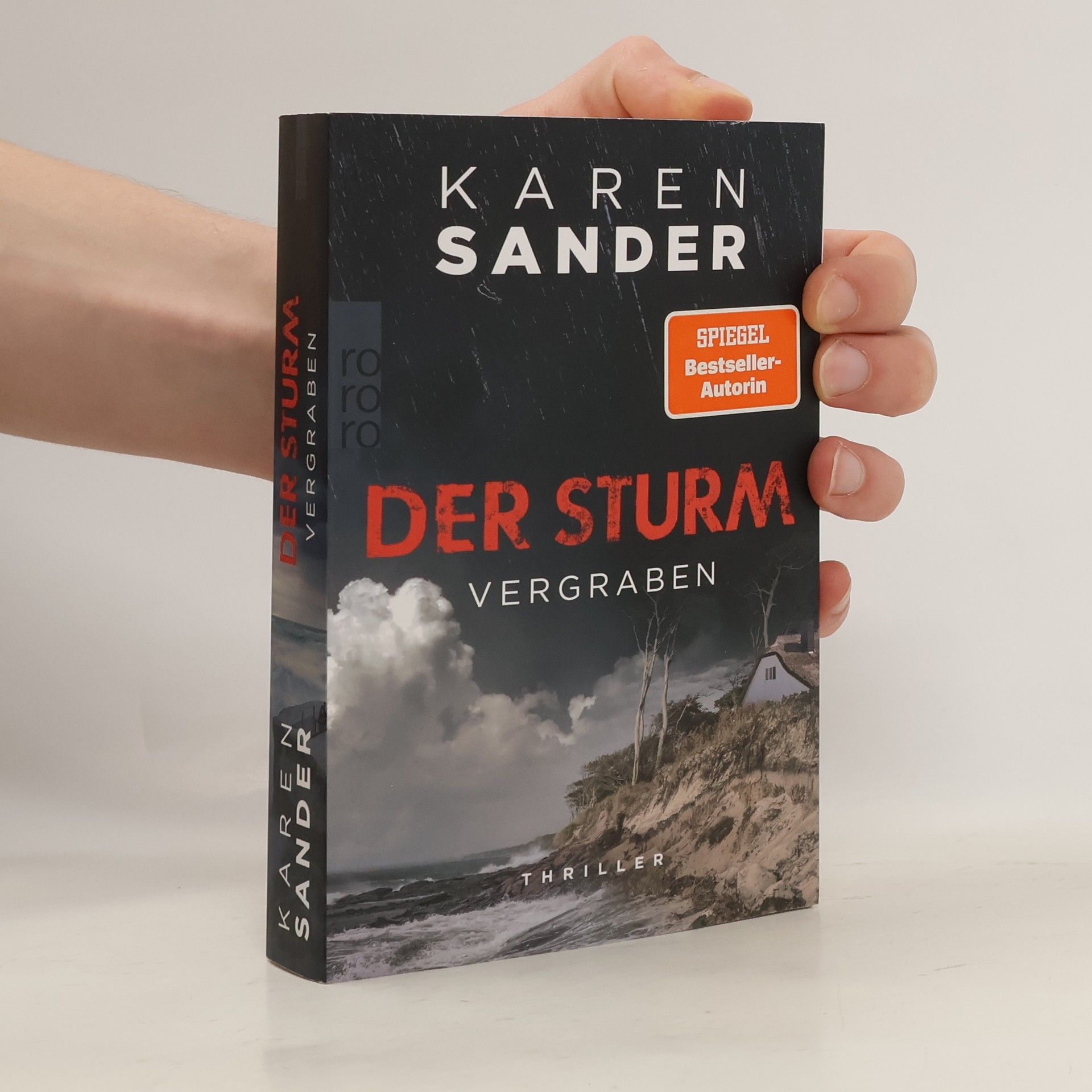 Sabine Martin Der Sturm. Vergraben