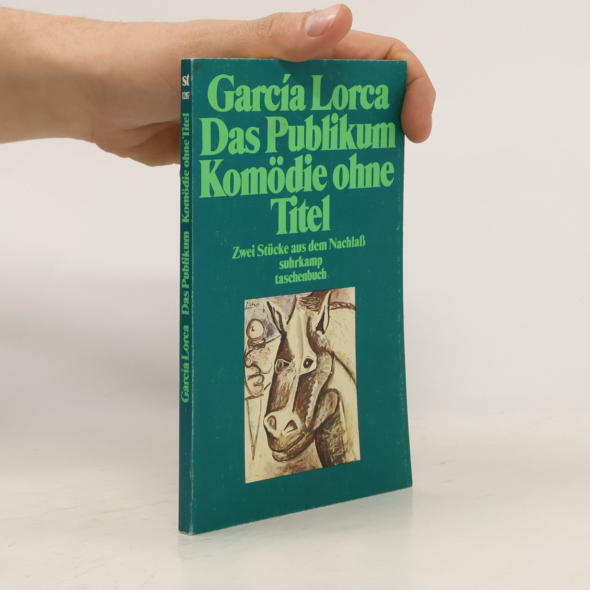 Federico García Lorca Das Publikum. Komödie ohne Titel