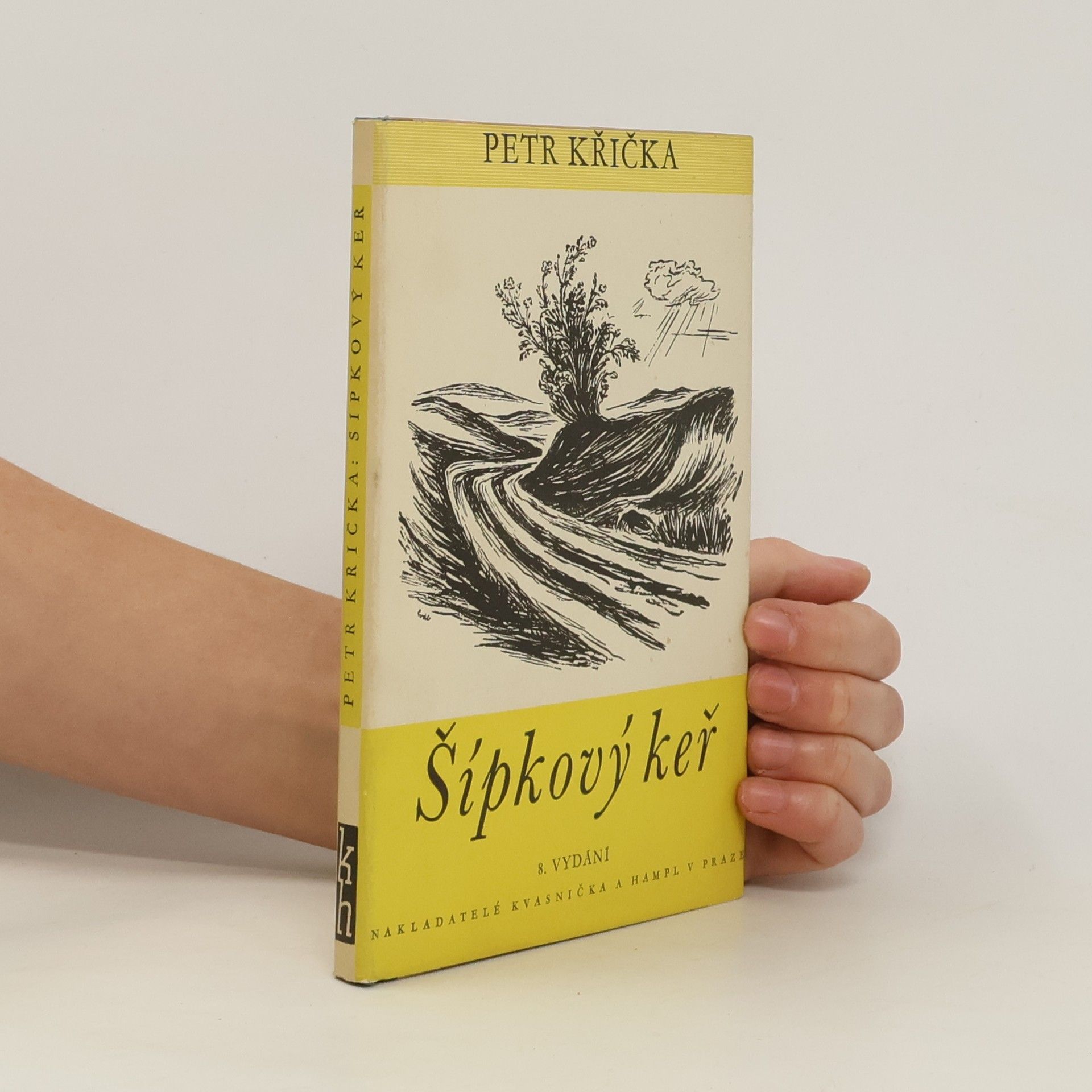 Petr Křička Šípkový keř