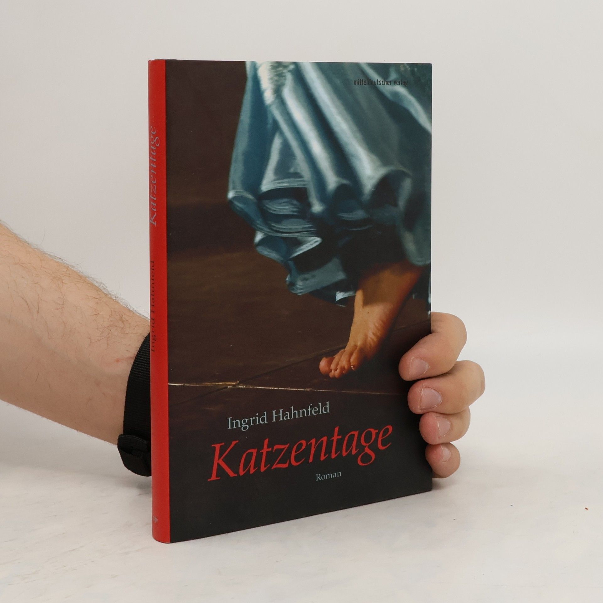 Ingrid Hahnfeld Katzentage