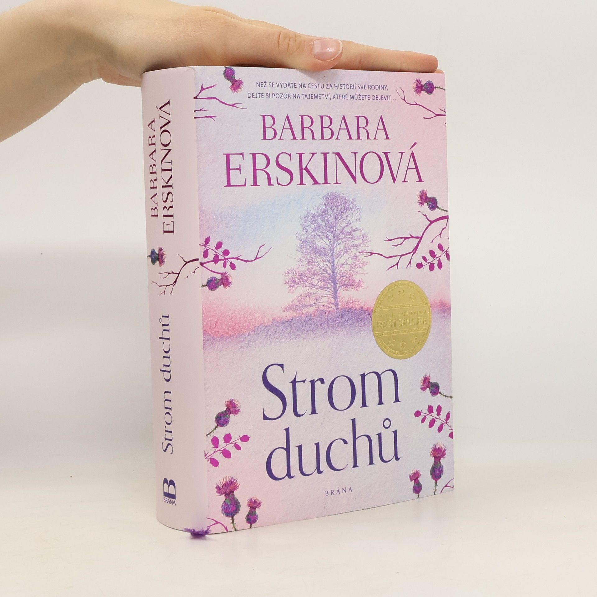 Barbara Erskine Strom duchů