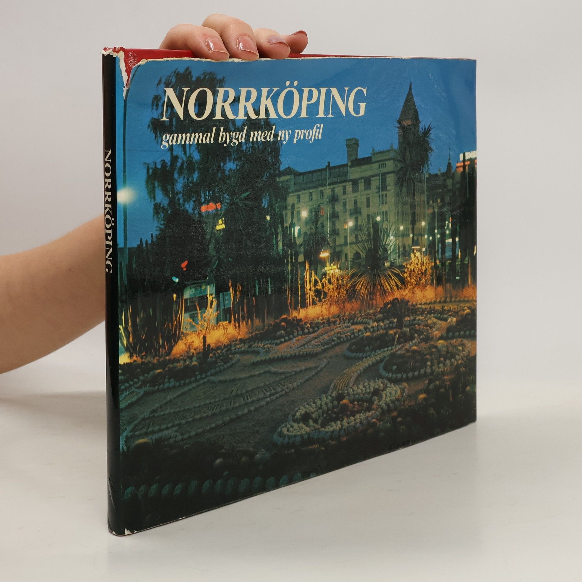 AA.VV. Norrköping gammal bygd med ny profil