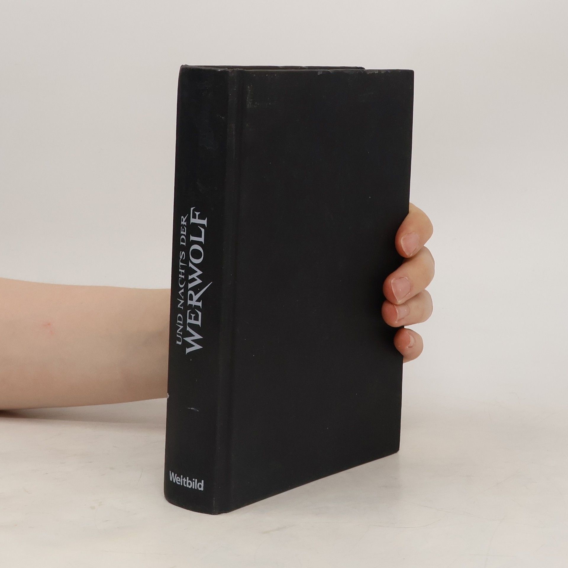 Frank Festa Und nachts der Werwolf