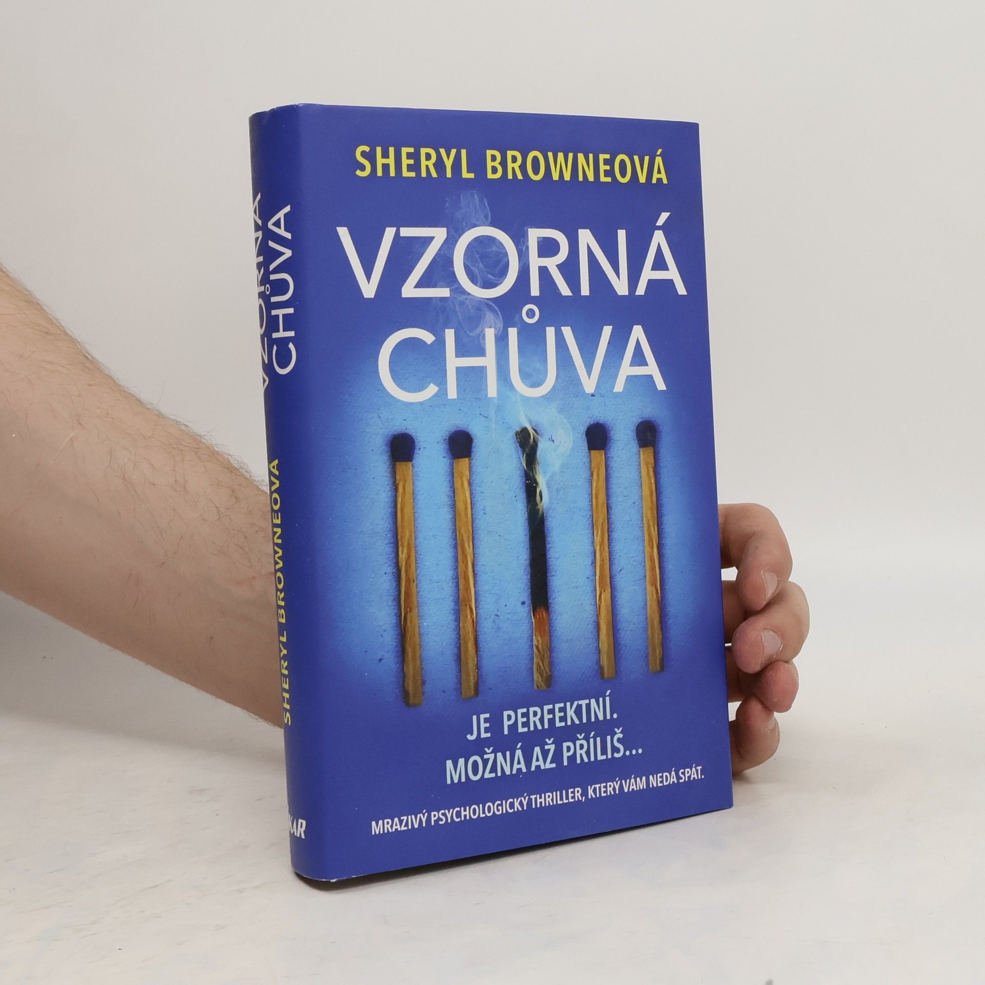 Sheryl Browne Vzorná chůva