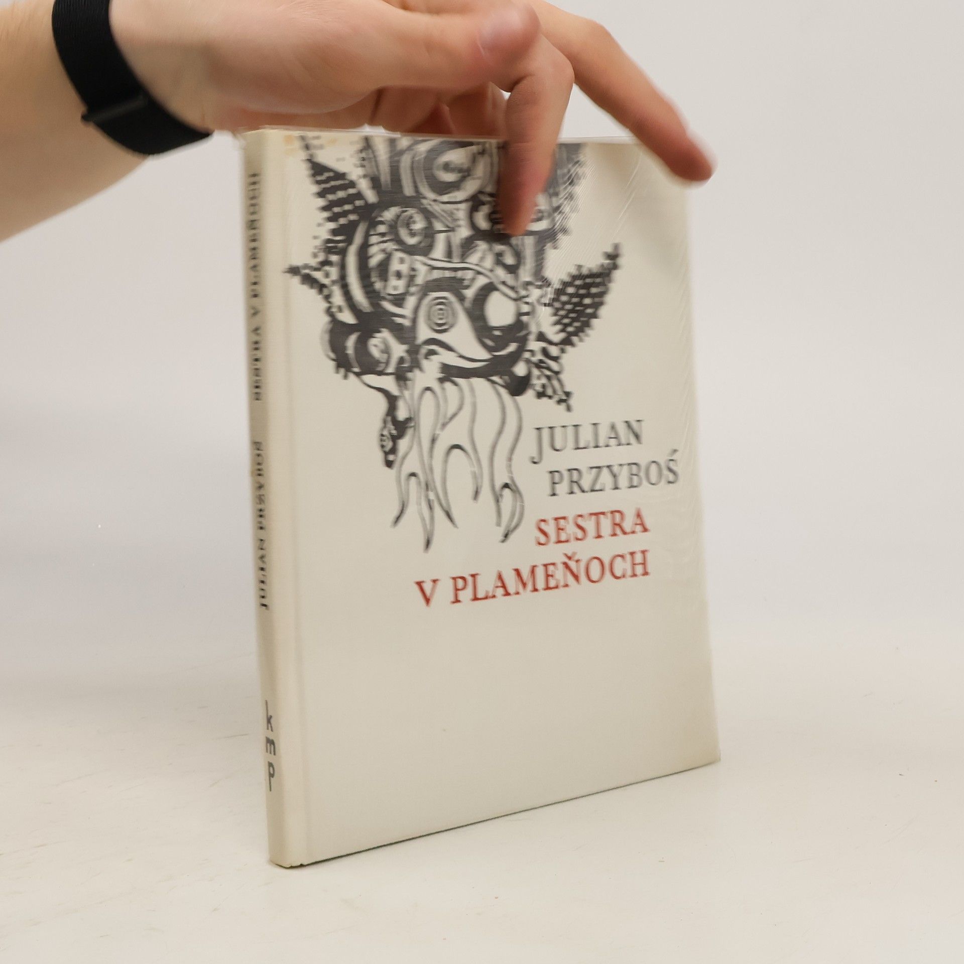 Julian Przyboś Sestra v plameňoch