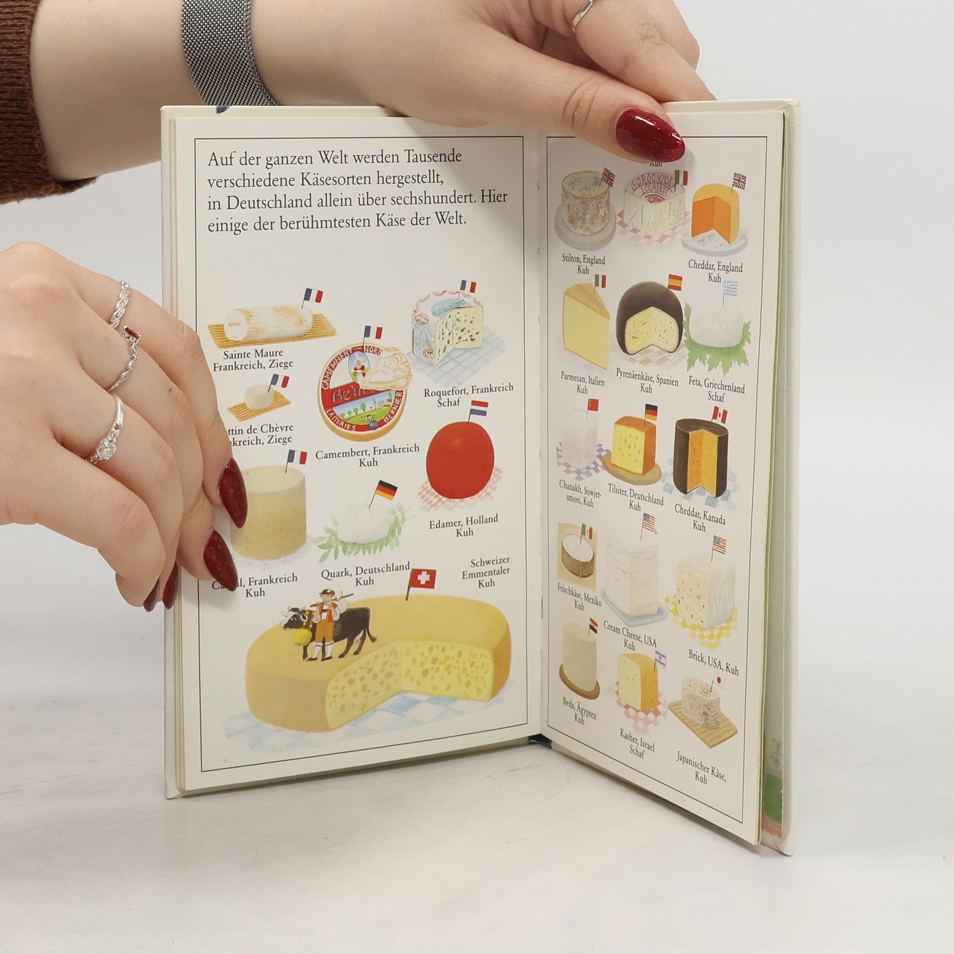 Autorenkollektiv Warum trinken alle Kinder Milch? 6