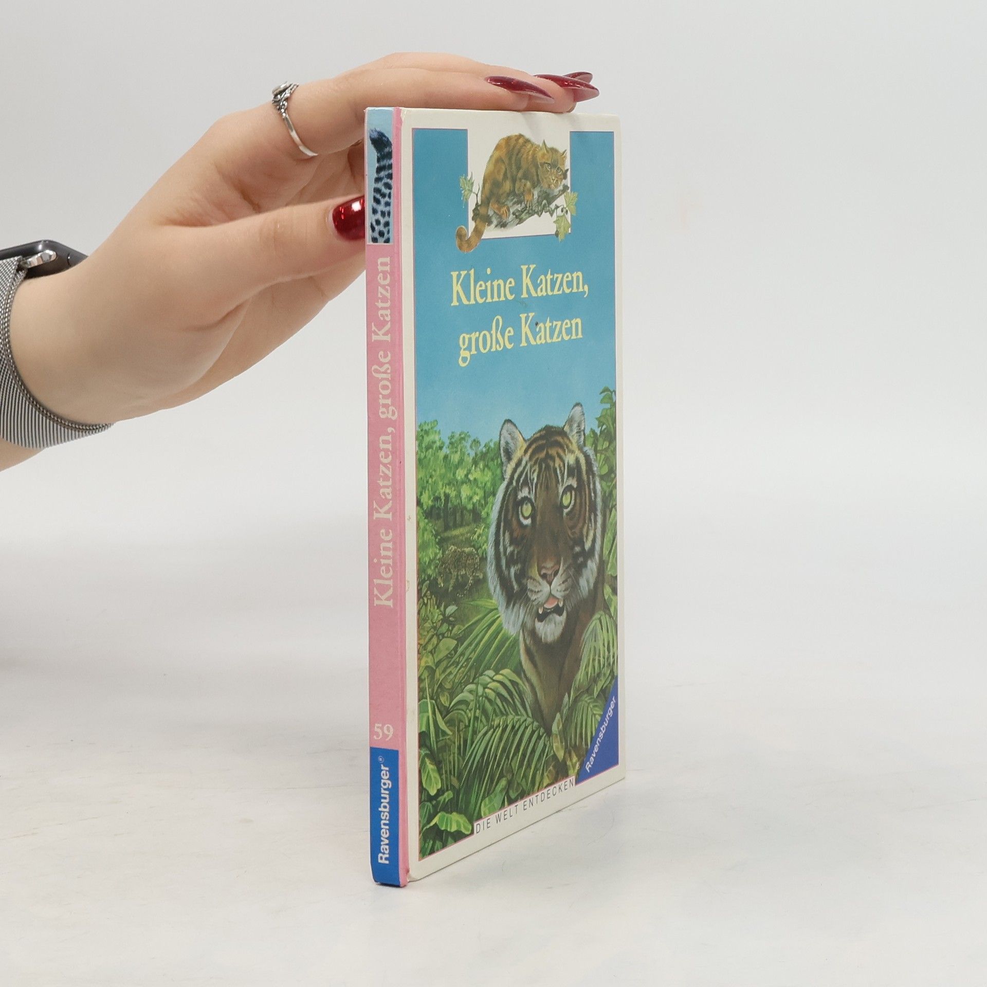 Béatrice Fontanel Kleine Katzen, grosse Katzen