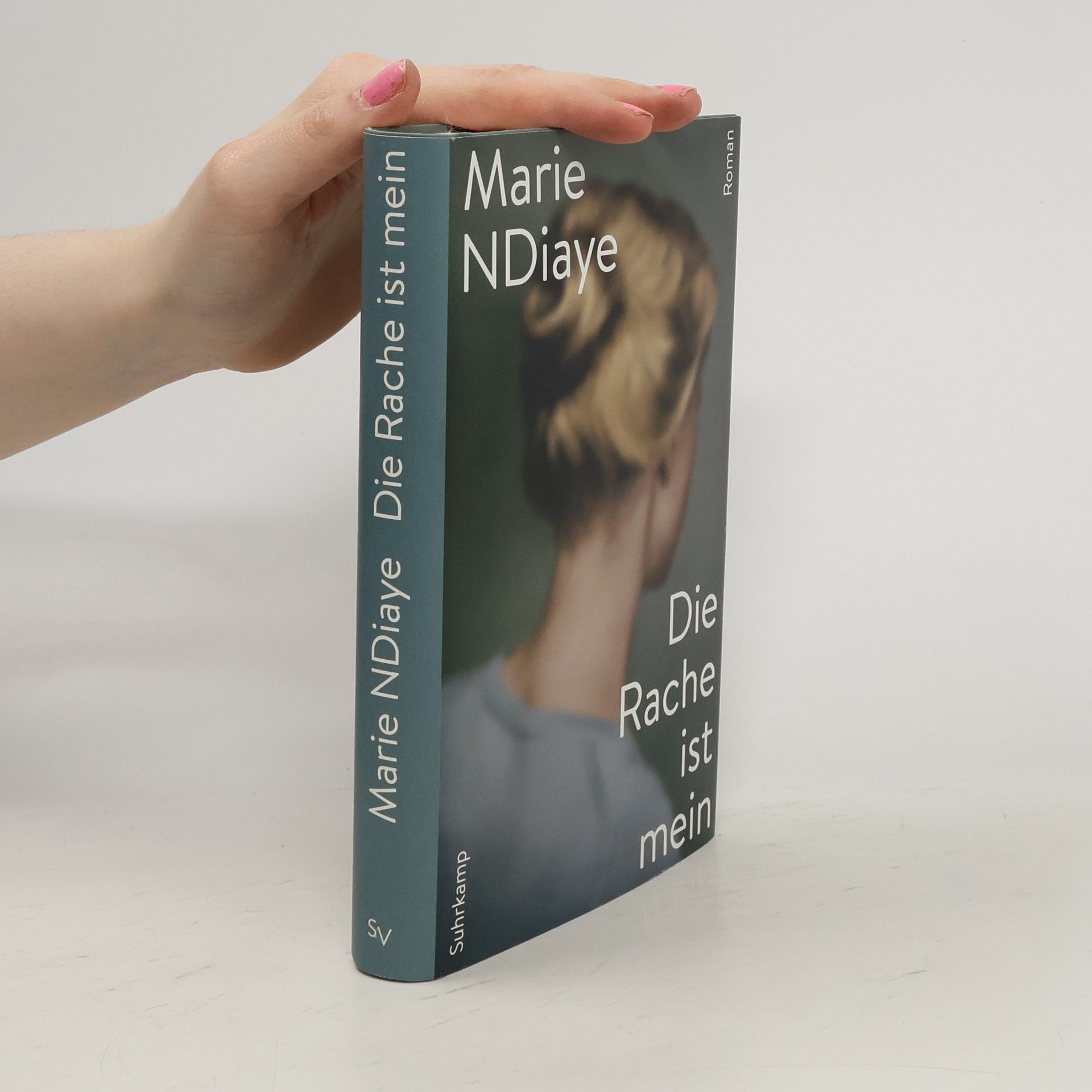 Marie NDiaye Die Rache ist mein