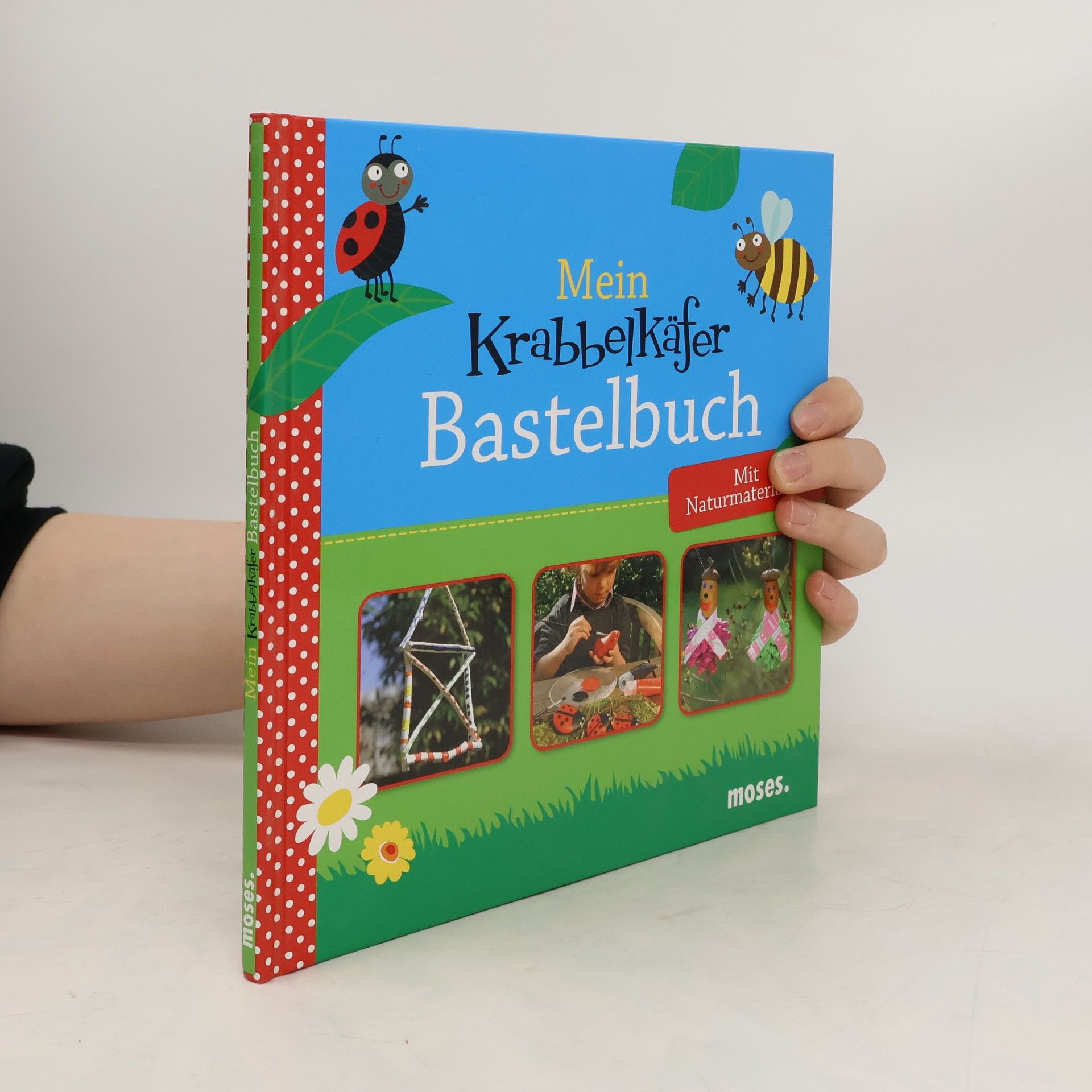 Nicola Berger Mein Krabbelkäfer-Bastelbuch