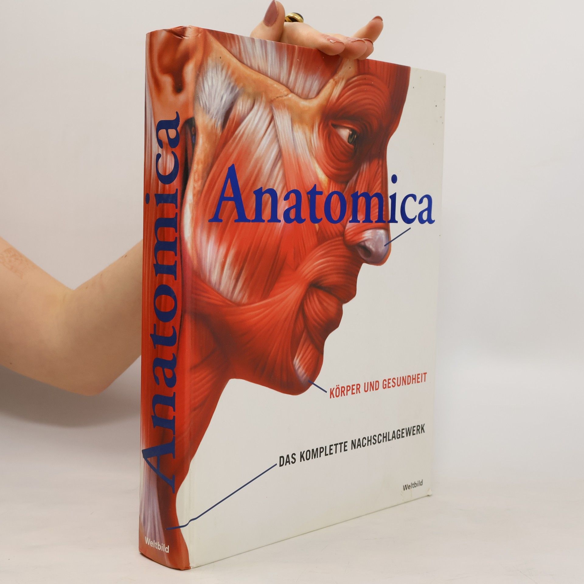 Gordon Cheers Anatomica