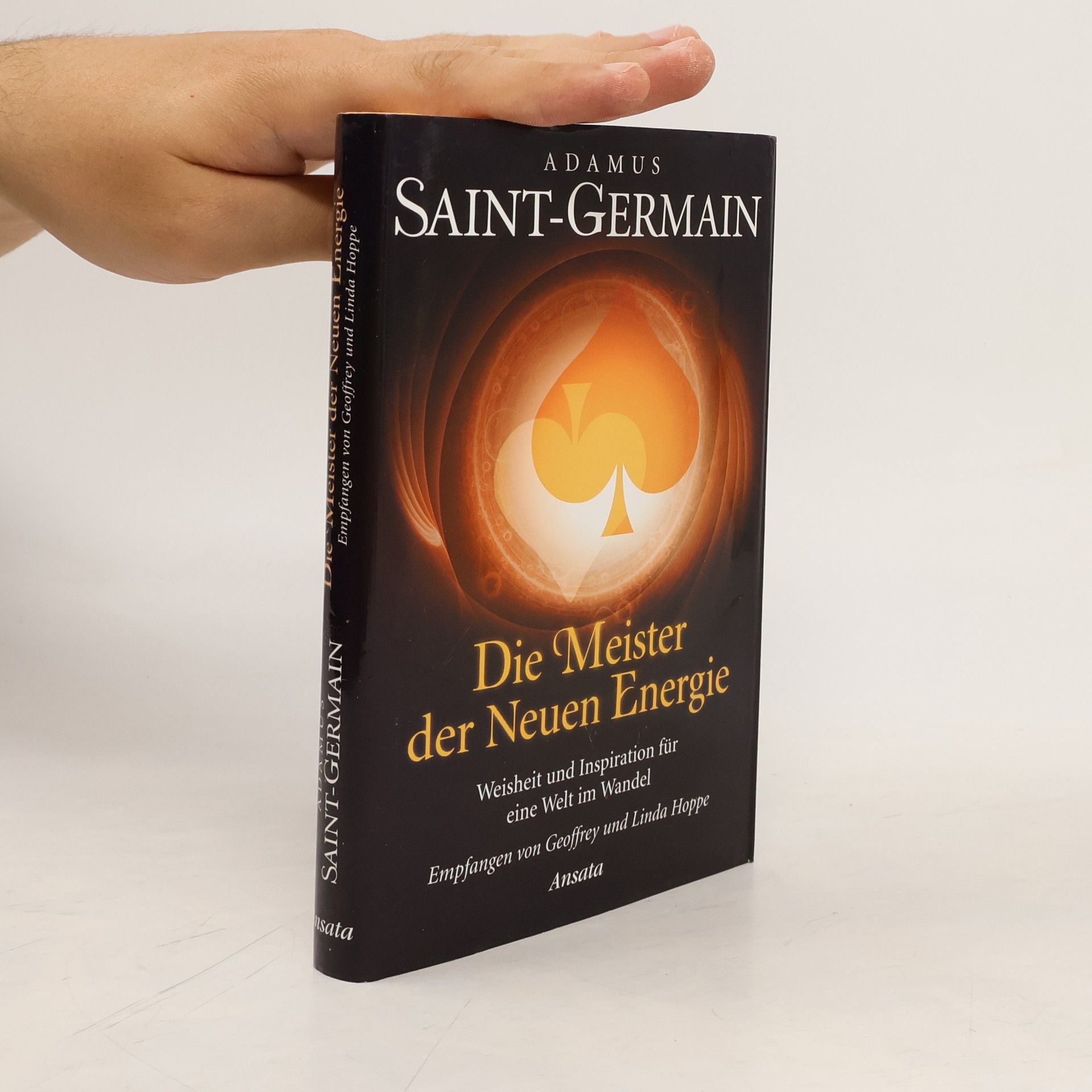 Geoffrey Hoppe Die Meister der neuen Energie