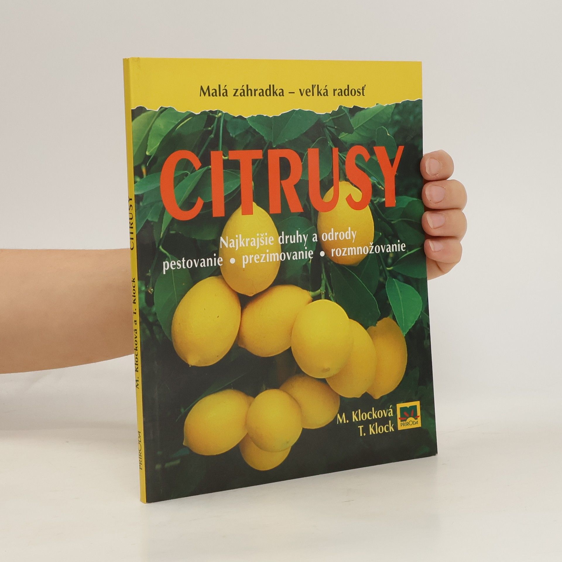 Monika Klock Citrusy