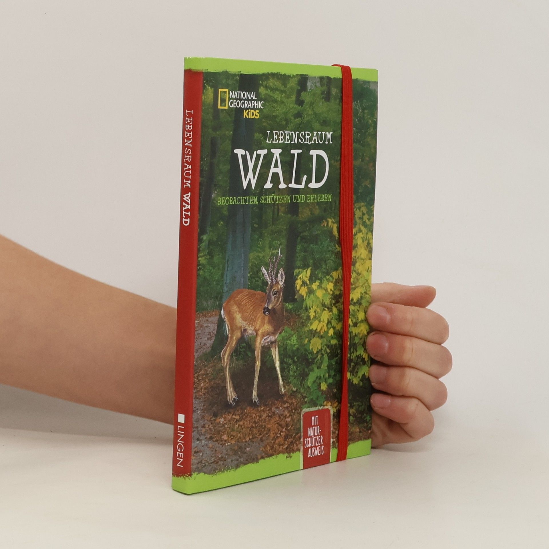 Anita van Saan Lebensraum Wald. Beobachten, schützen und erleben