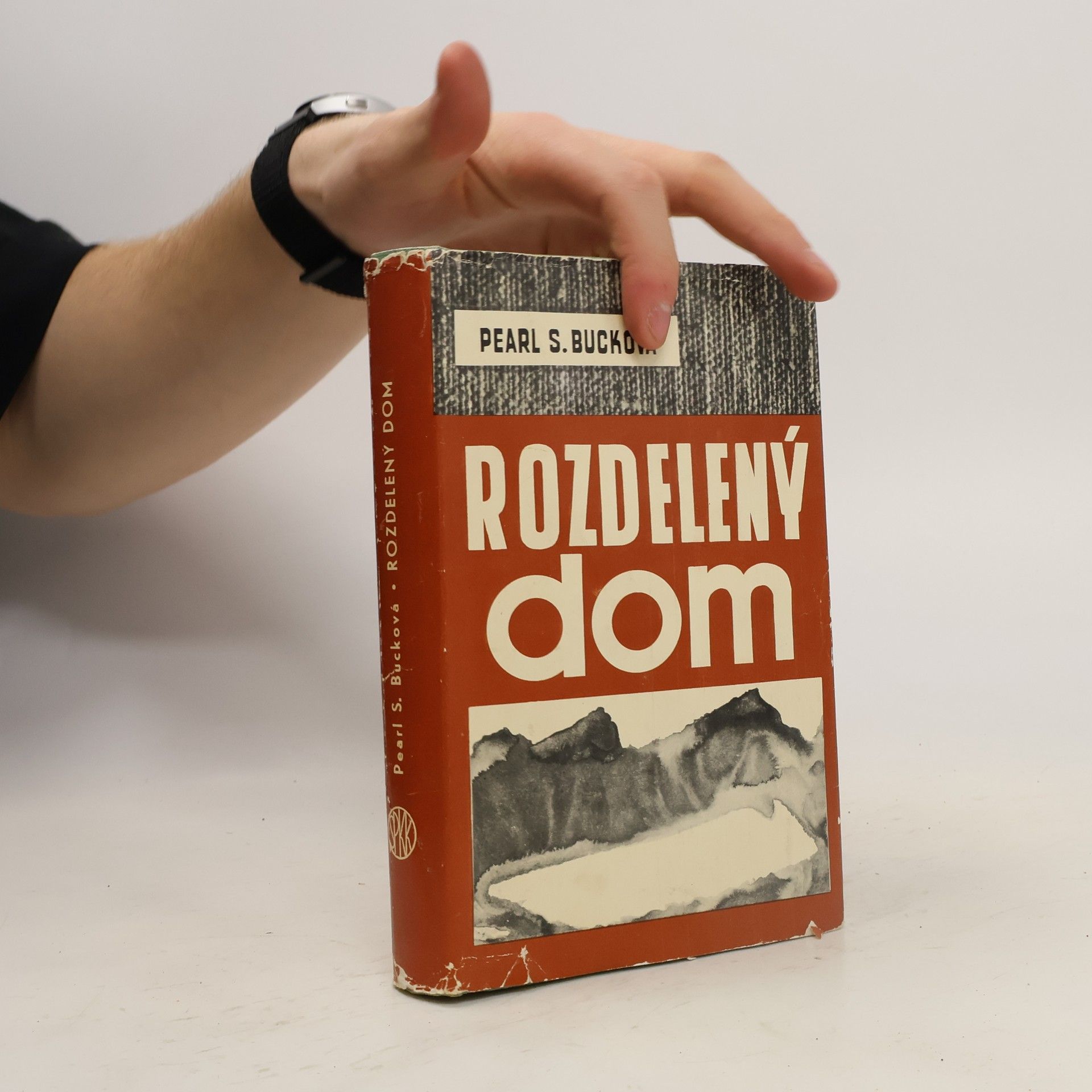 Pearl S. Buck Rozdelený dom